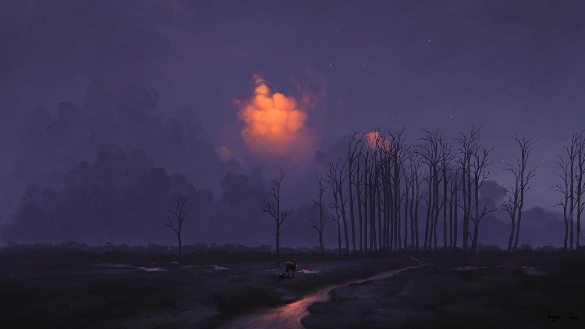 Deer in a dark forest with orange cloud HD Wallpaper