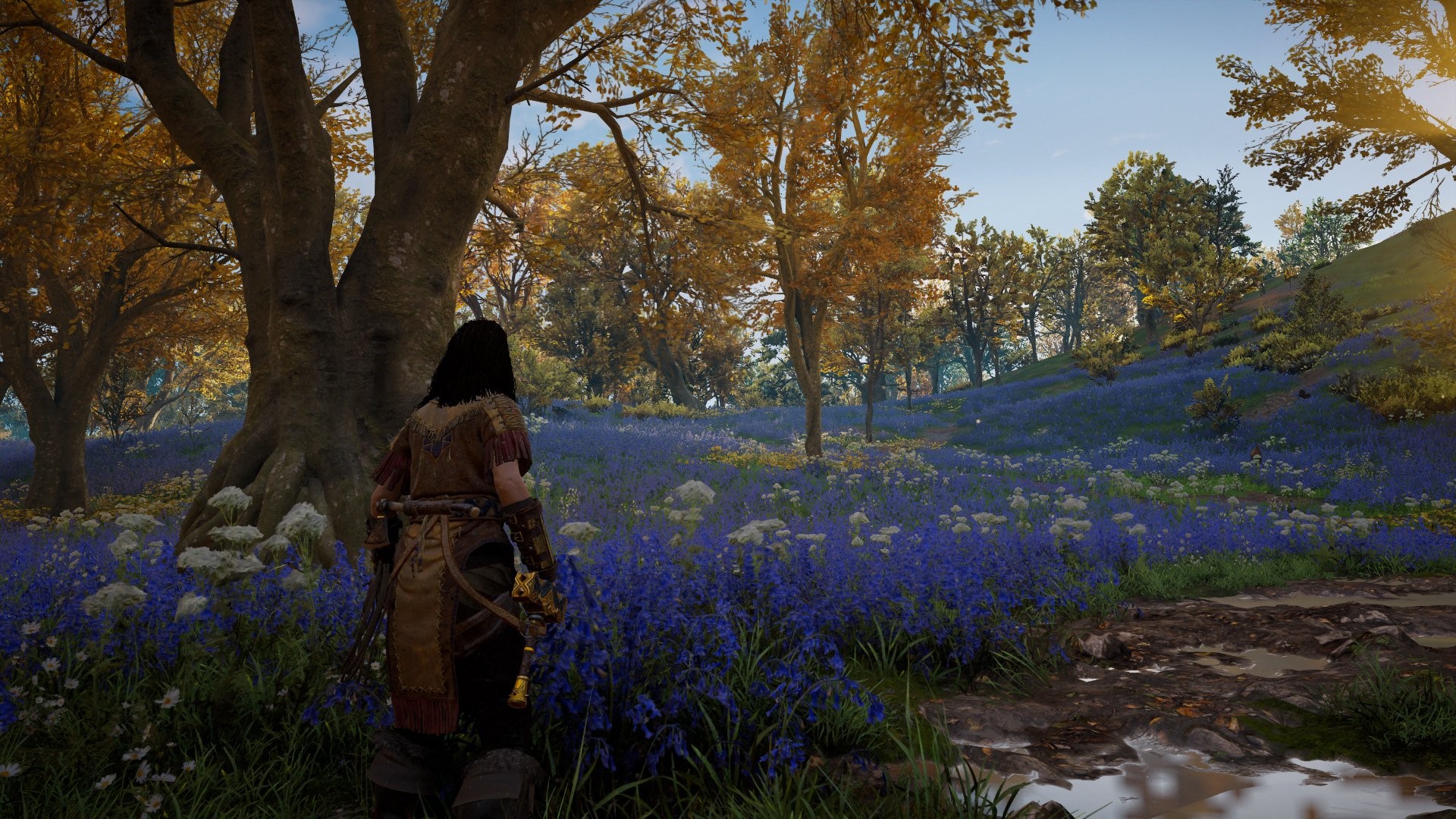 Assassin's Creed Valhalla screenshot of a character in a field HD Wallpaper