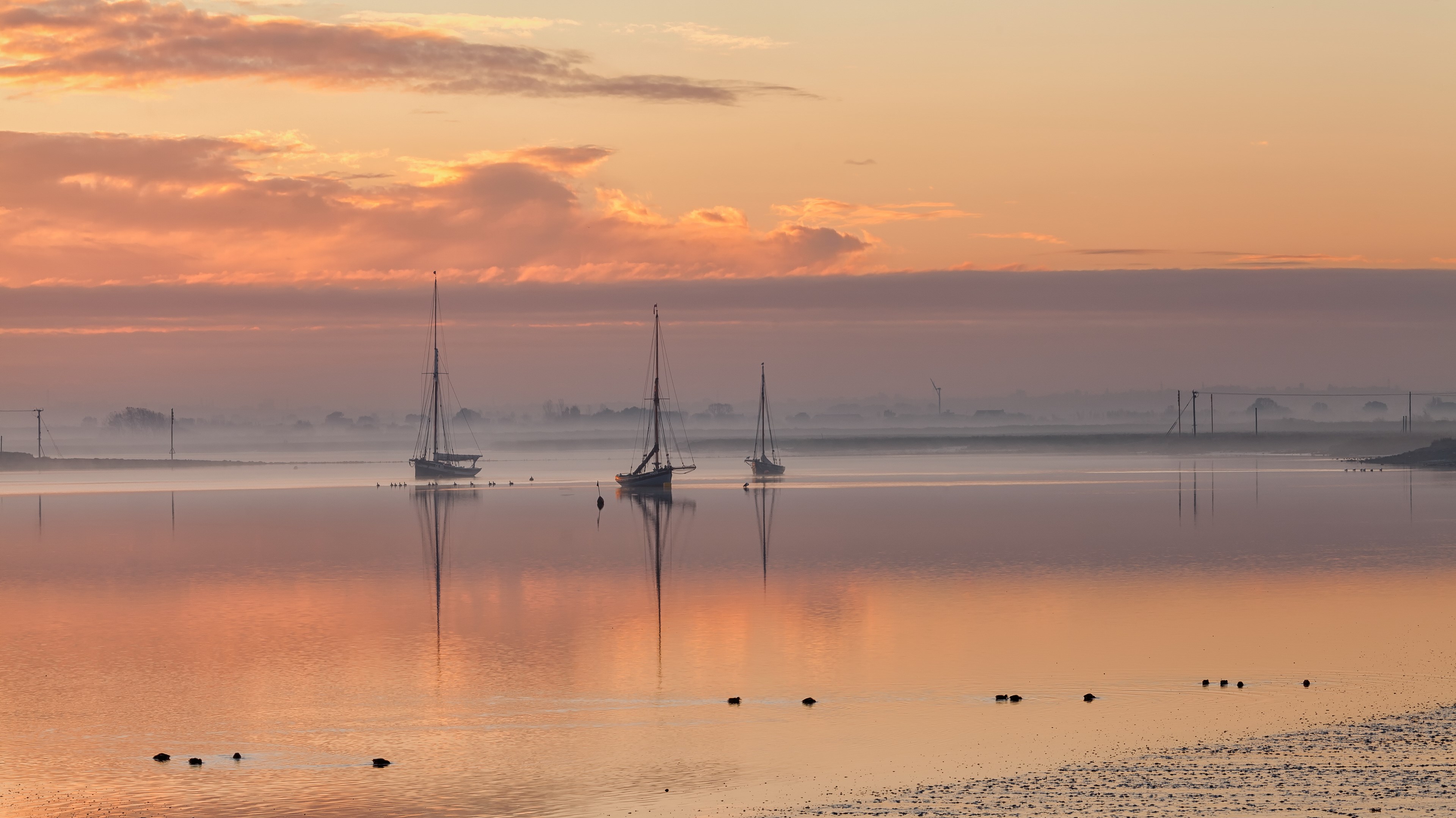 Sailboats on misty water at sunrise HD Wallpaper