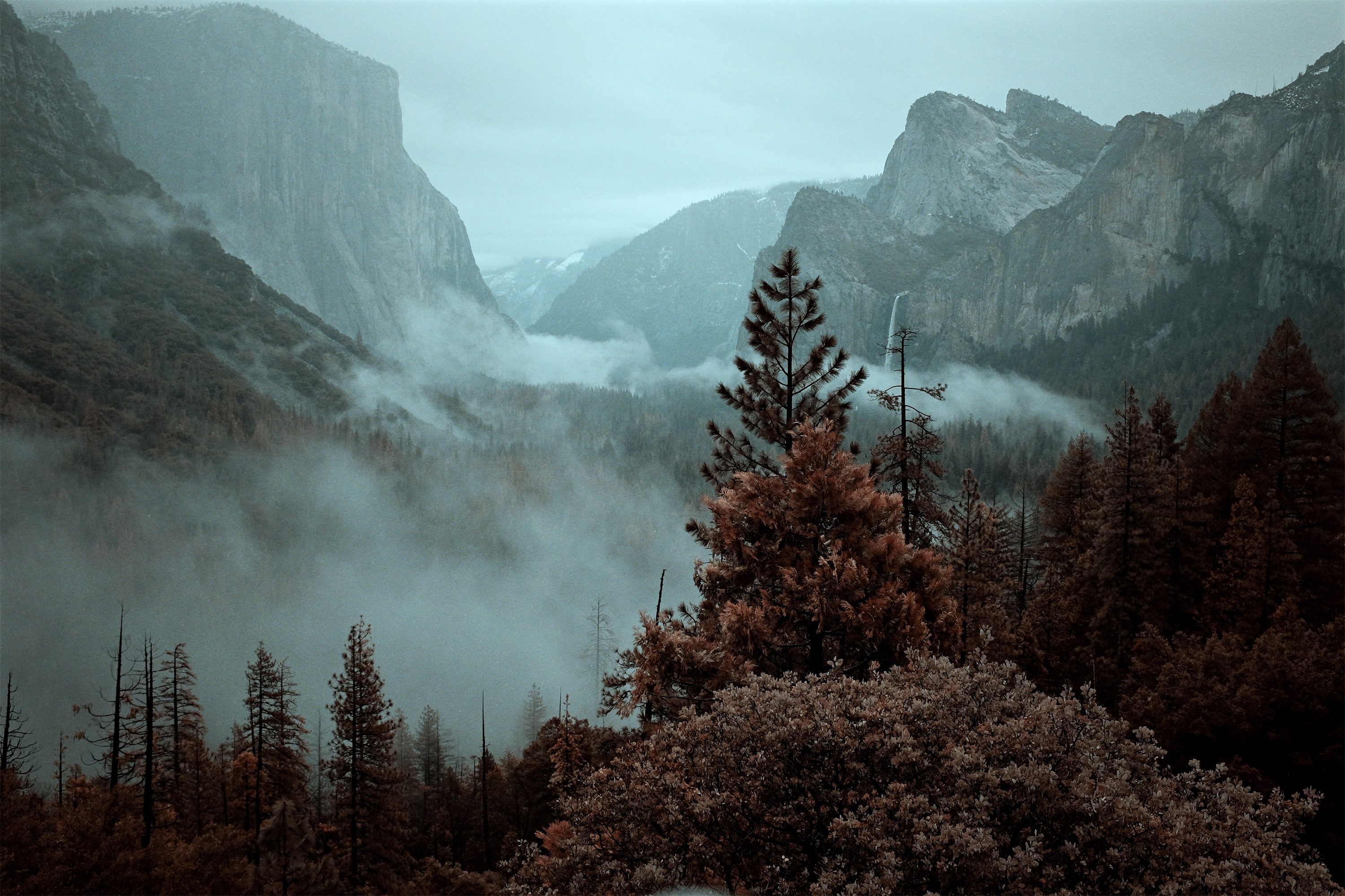 Misty Mountains and Forest in Yosemite National Park HD Wallpaper