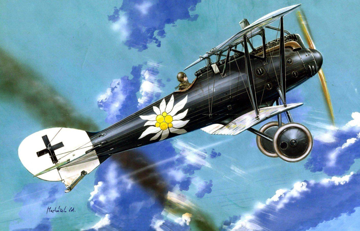 Artwork of a black biplane with an Edelweiss flower insignia HD Wallpaper