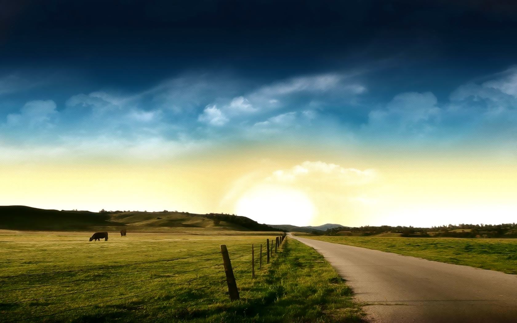Road through a green field at sunset with cows HD Wallpaper