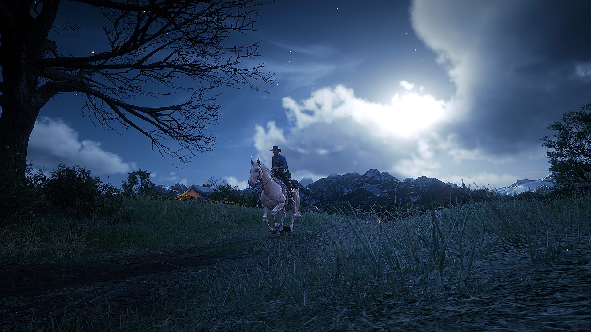 Man on horse in Red Dead Redemption 2 at night HD Wallpaper