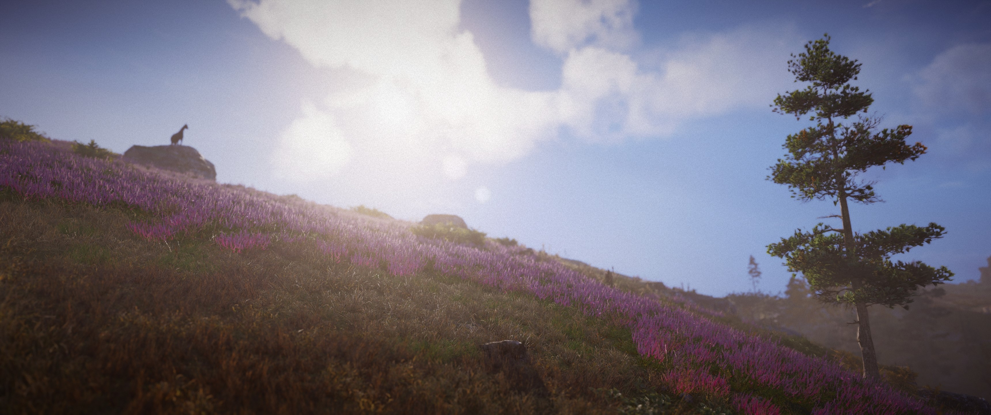 Eivor from Assassins Creed Valhalla on a hill HD Wallpaper