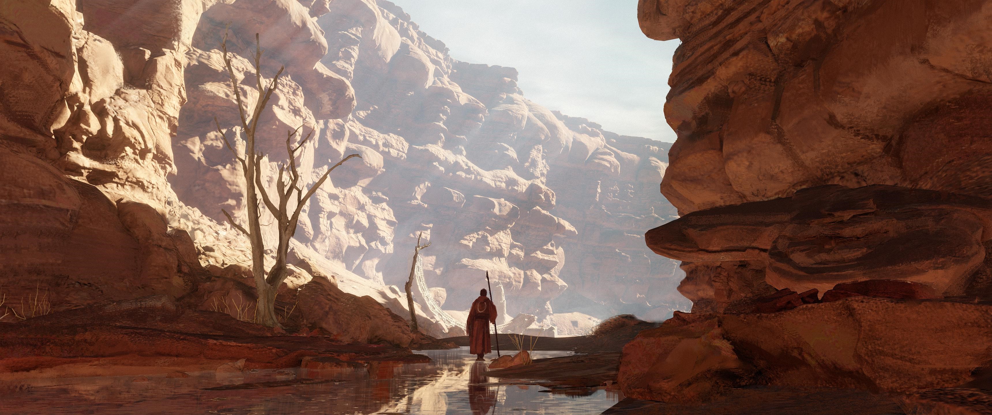 A lone traveler in a desert canyon HD Wallpaper