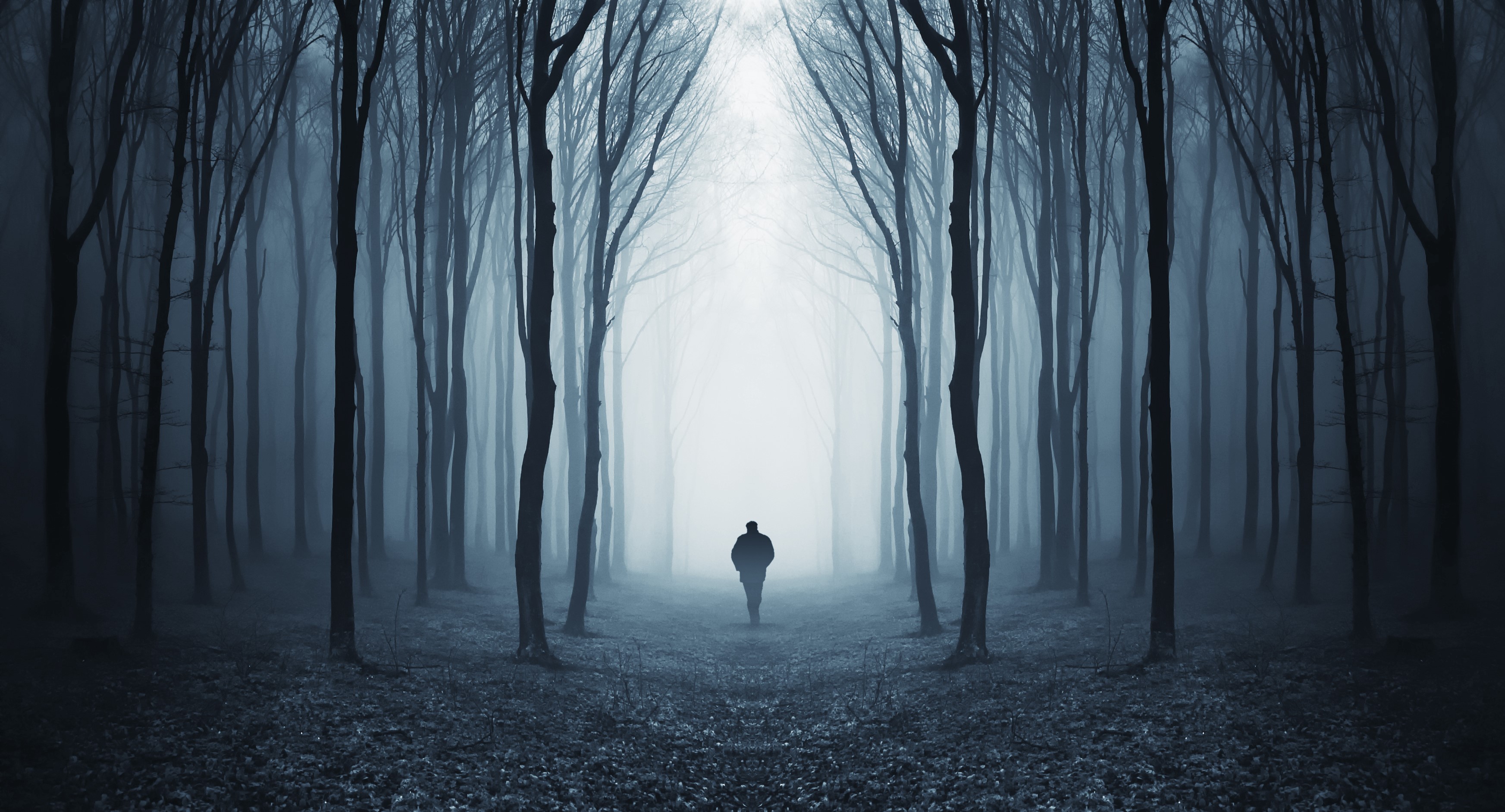 Person walking through a misty forest HD Wallpaper