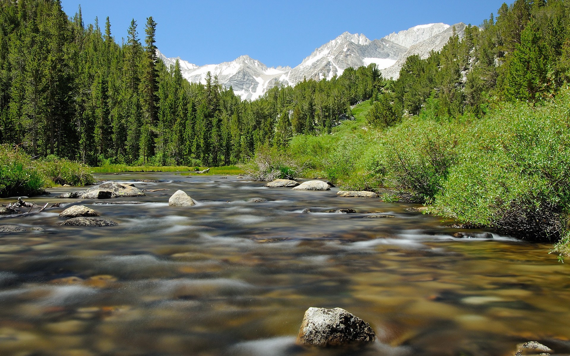 River flowing through a forest with mountains in the background HD Wallpaper