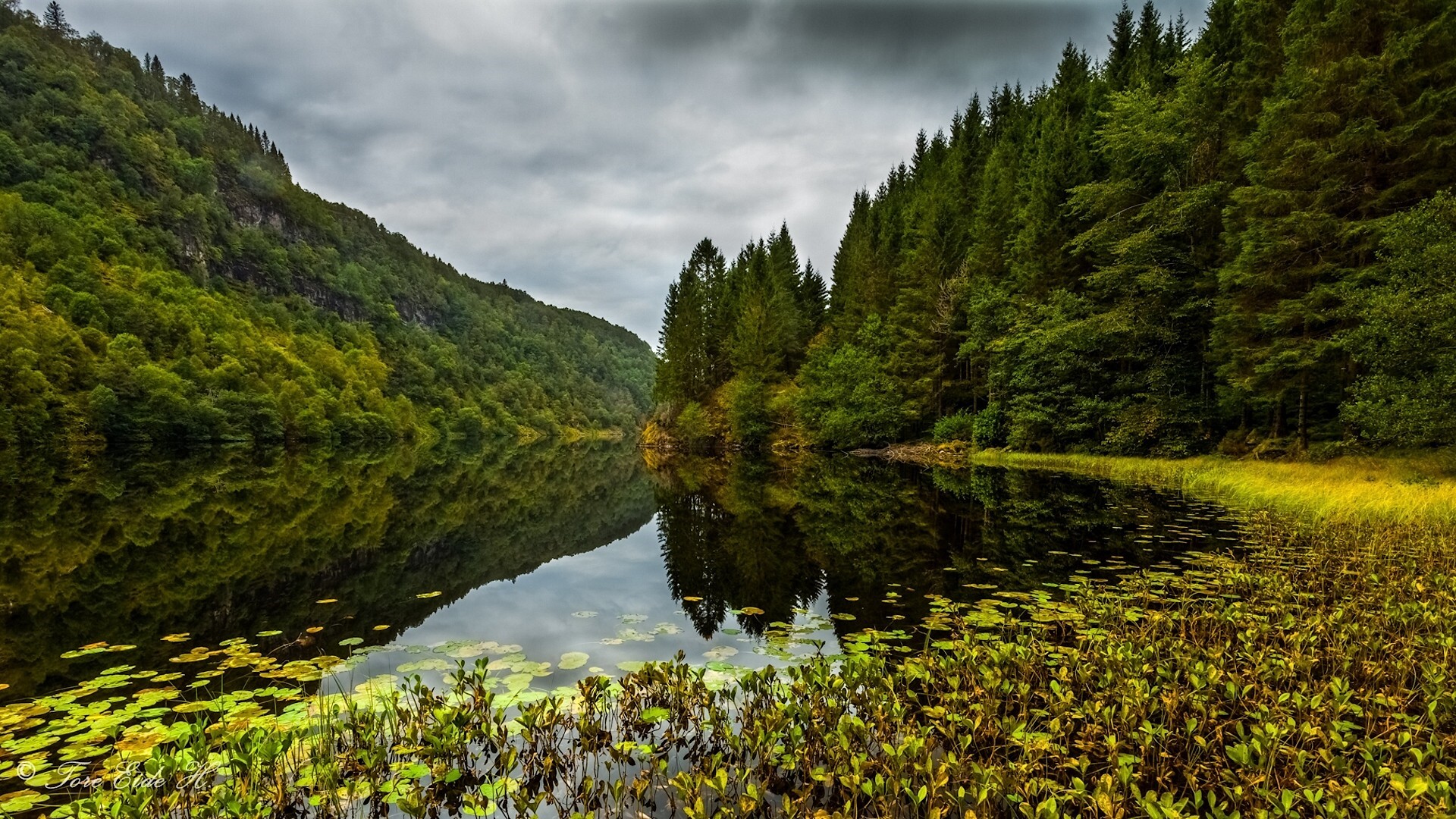 Forest landscape with lake reflection HD Wallpaper