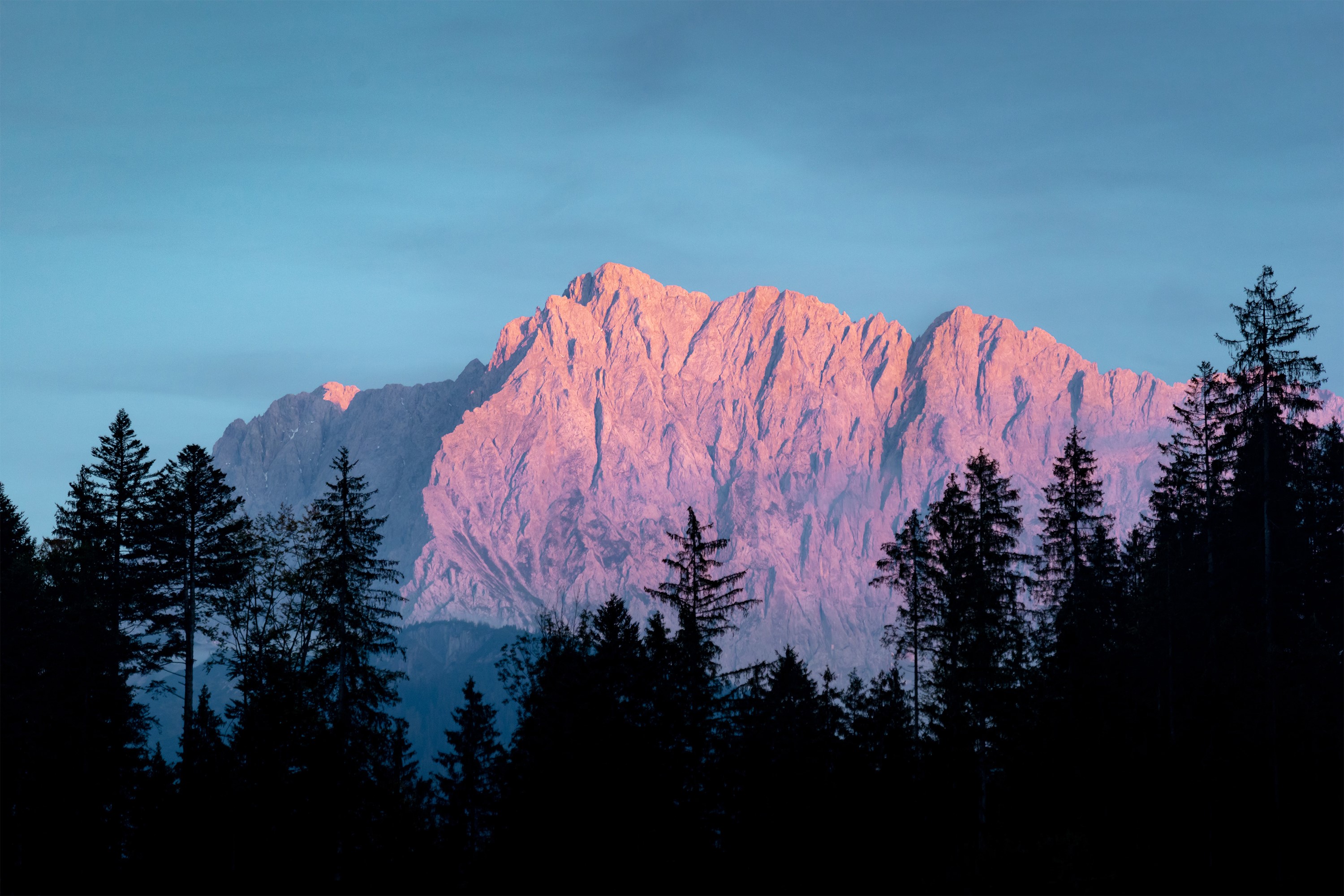 Pink mountain range behind silhouetted forest HD Wallpaper