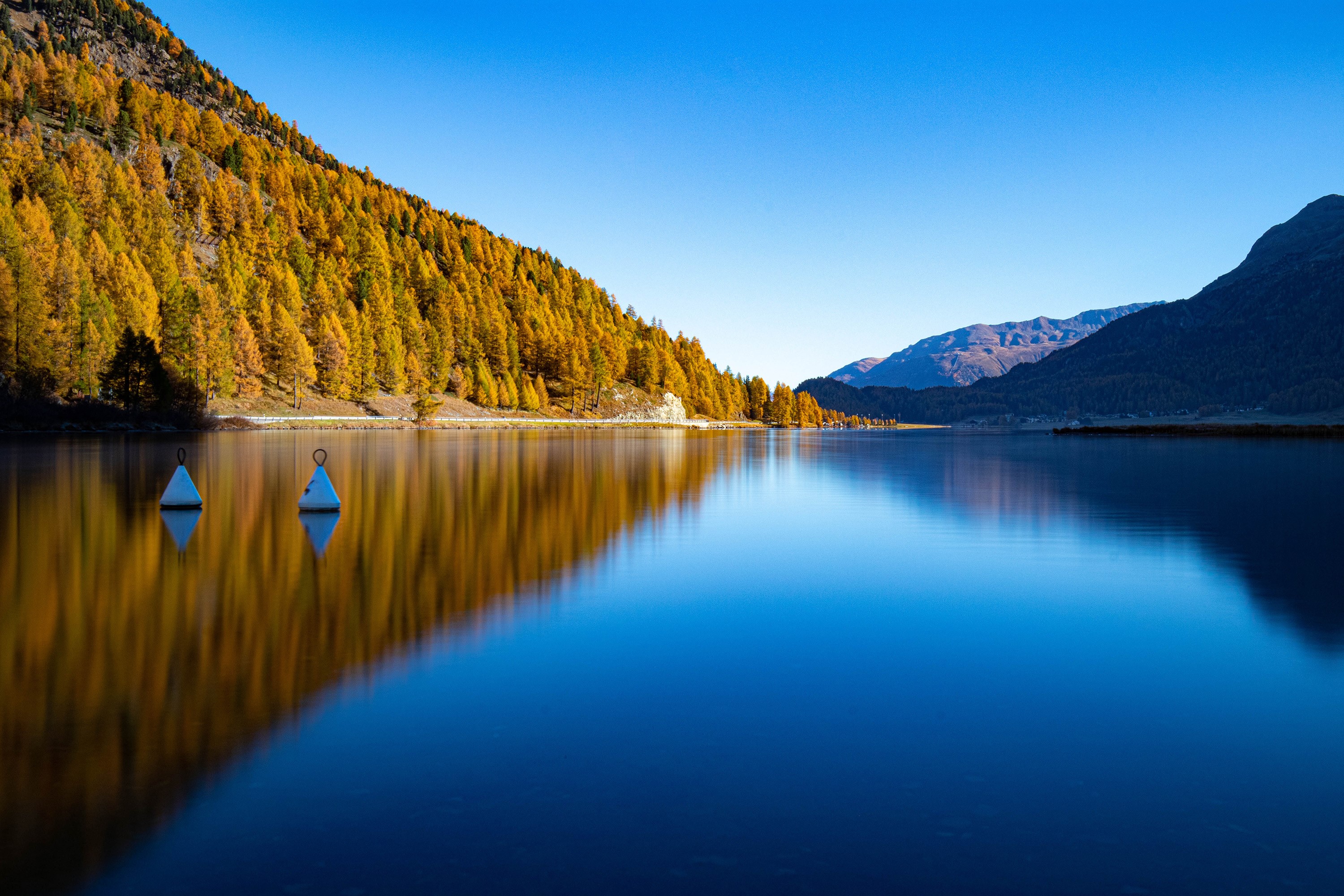 Autumn forest reflected in a calm lake with mountains HD Wallpaper