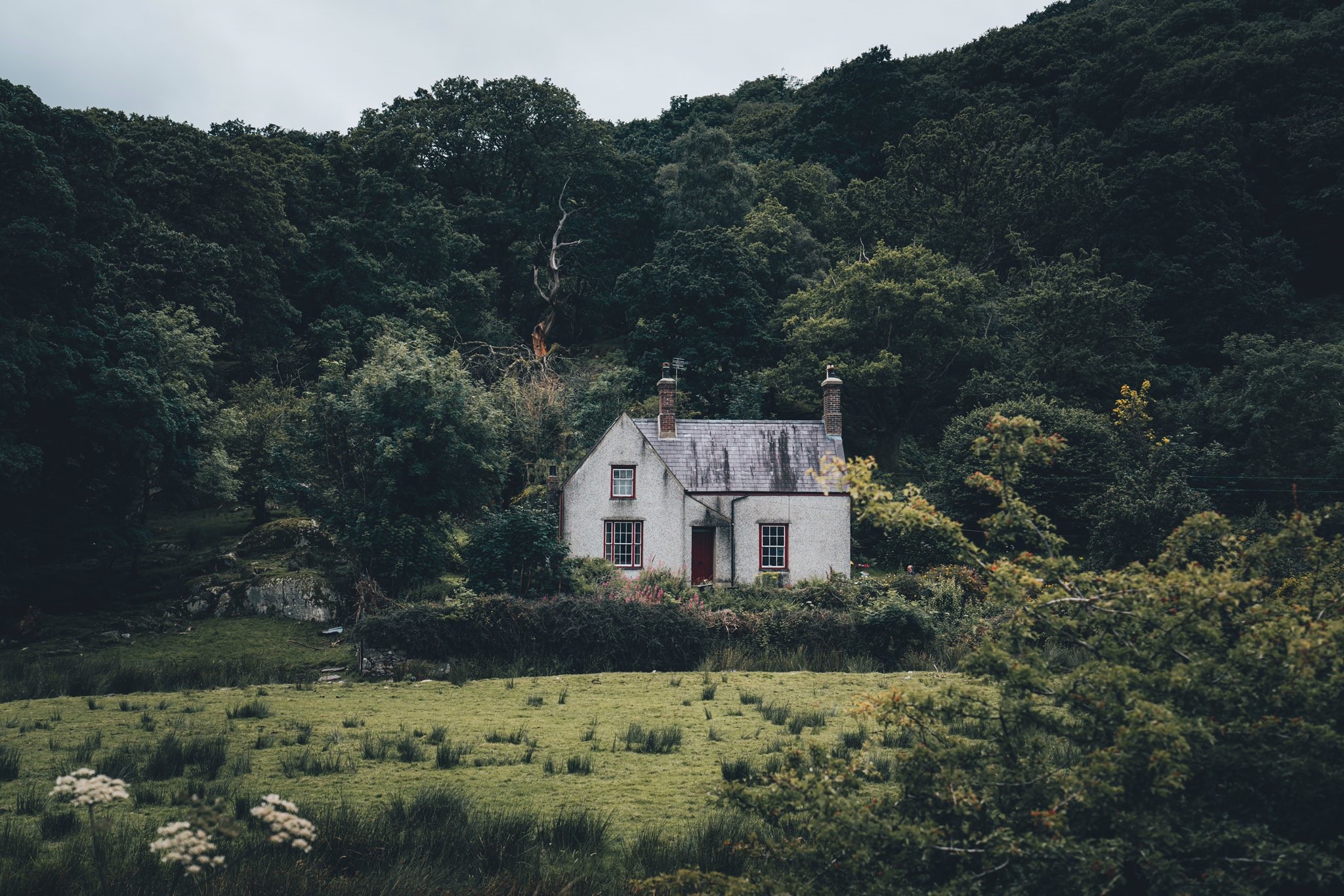 A secluded house nestled in a dense forest landscape HD Wallpaper