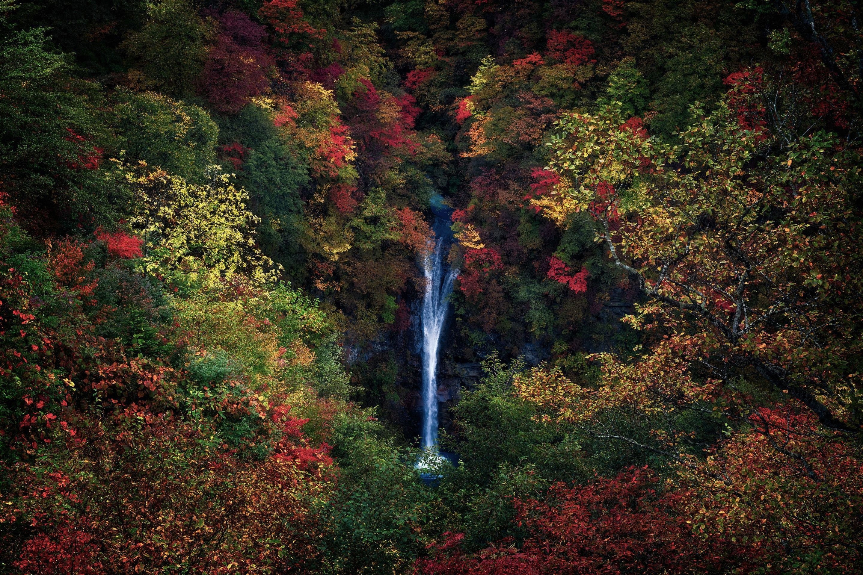 Waterfall in a colorful autumn forest HD Wallpaper