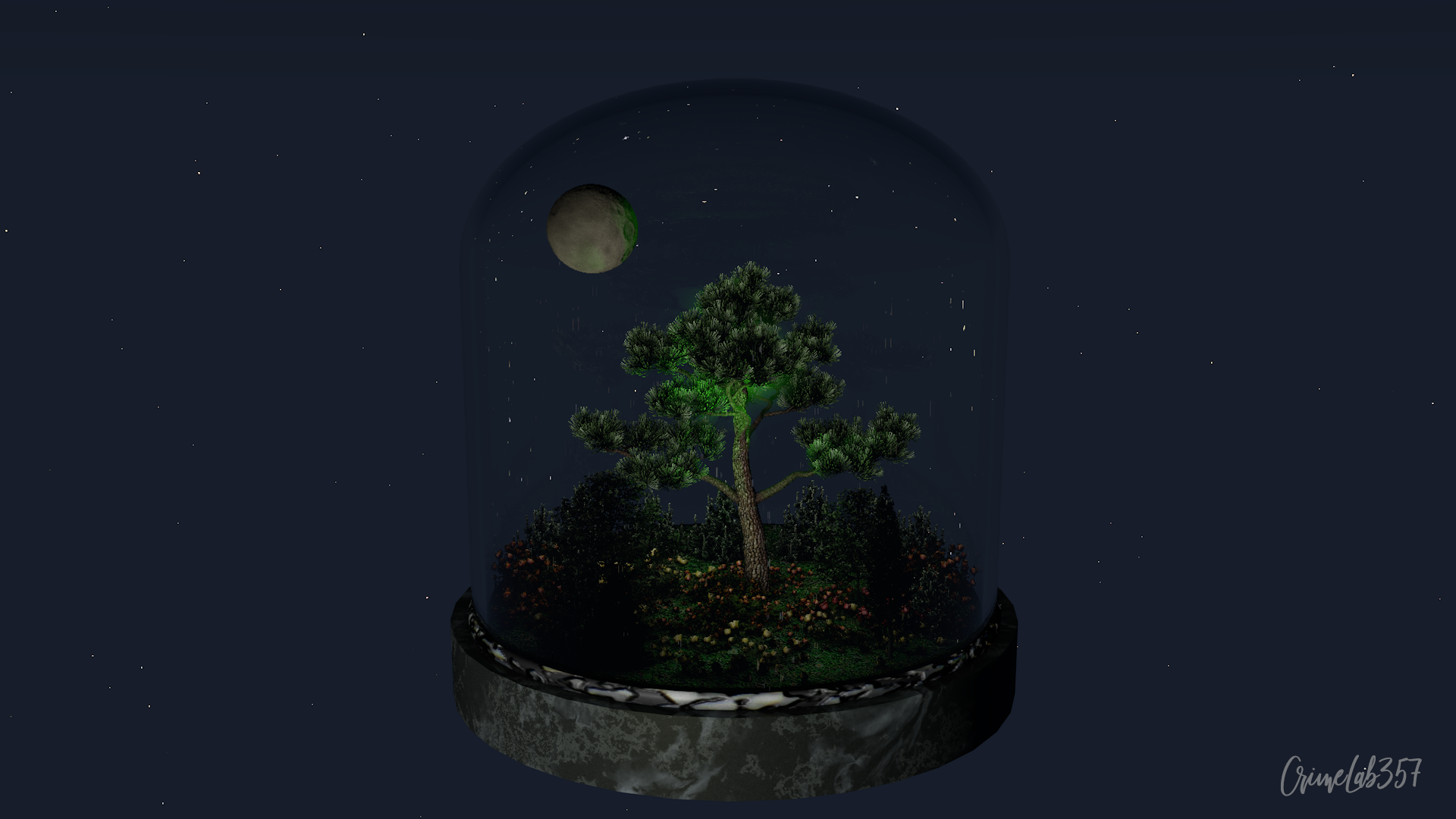 Terrarium with tree and moon under starry sky HD Wallpaper