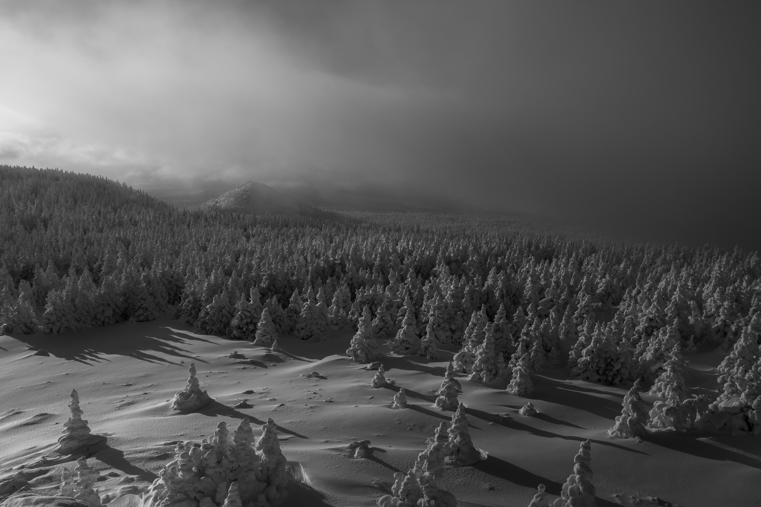 Snow-covered forest landscape with mist and mountains HD Wallpaper
