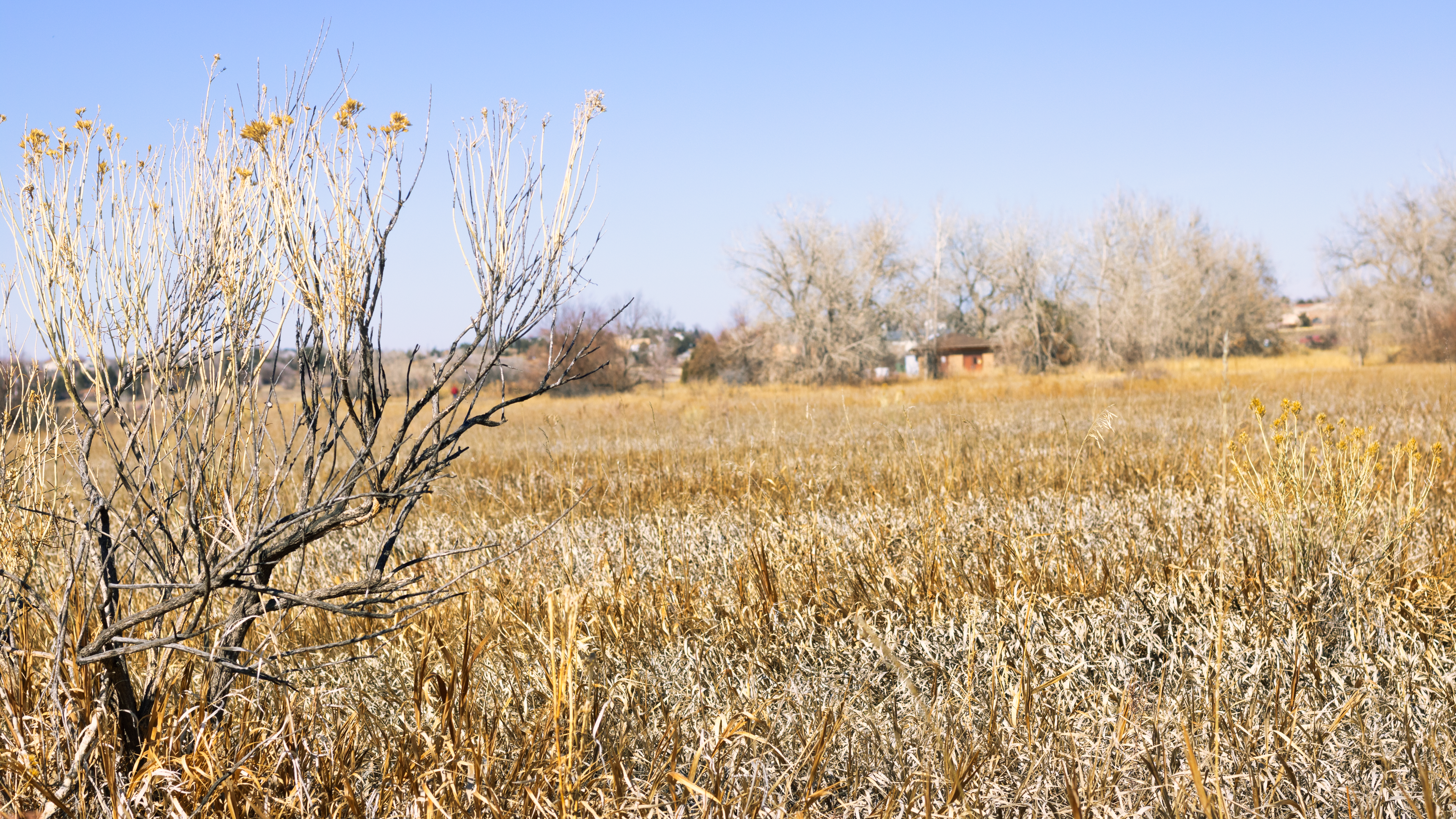 4K photography of a dry field in Colorado HD Wallpaper