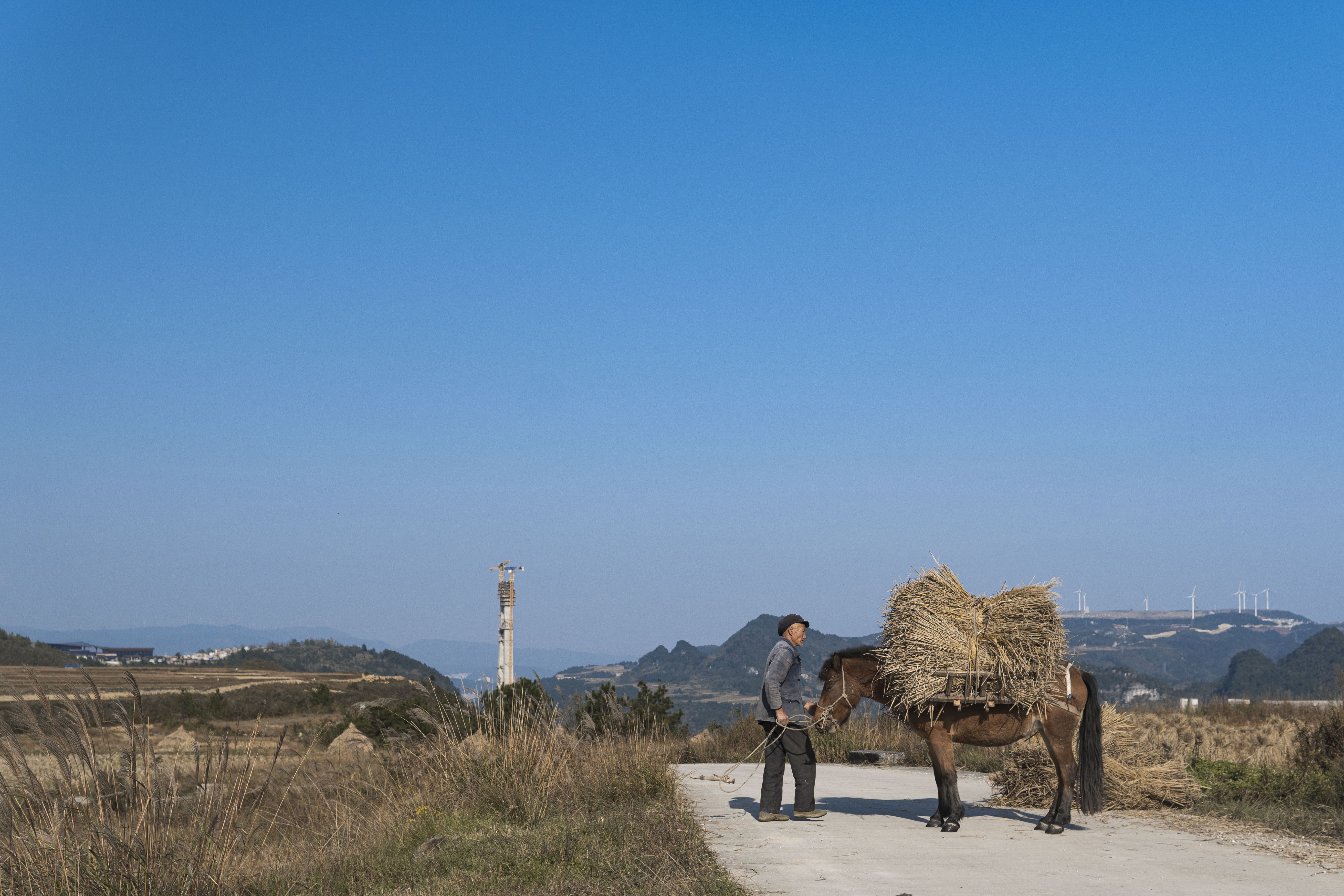 Farmer with horse carrying hay on a rural road HD Wallpaper