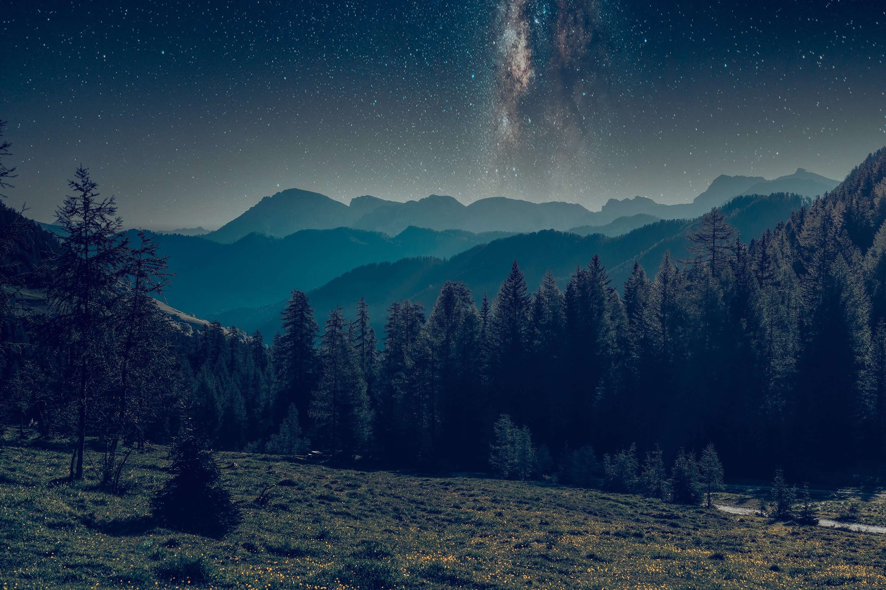 Starry night over mountains and forest HD Wallpaper