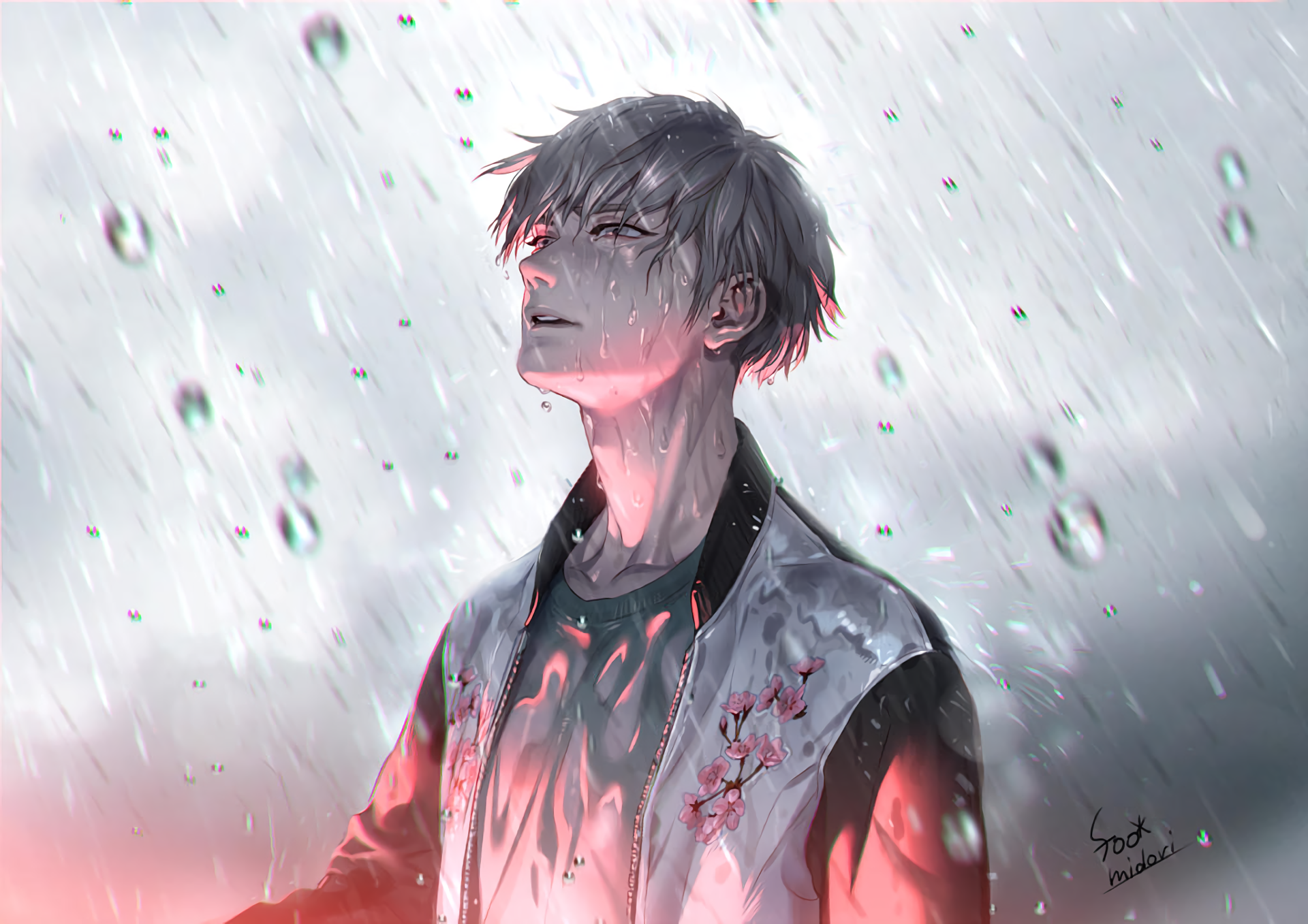 Anime boy in the rain with cherry blossoms HD Wallpaper