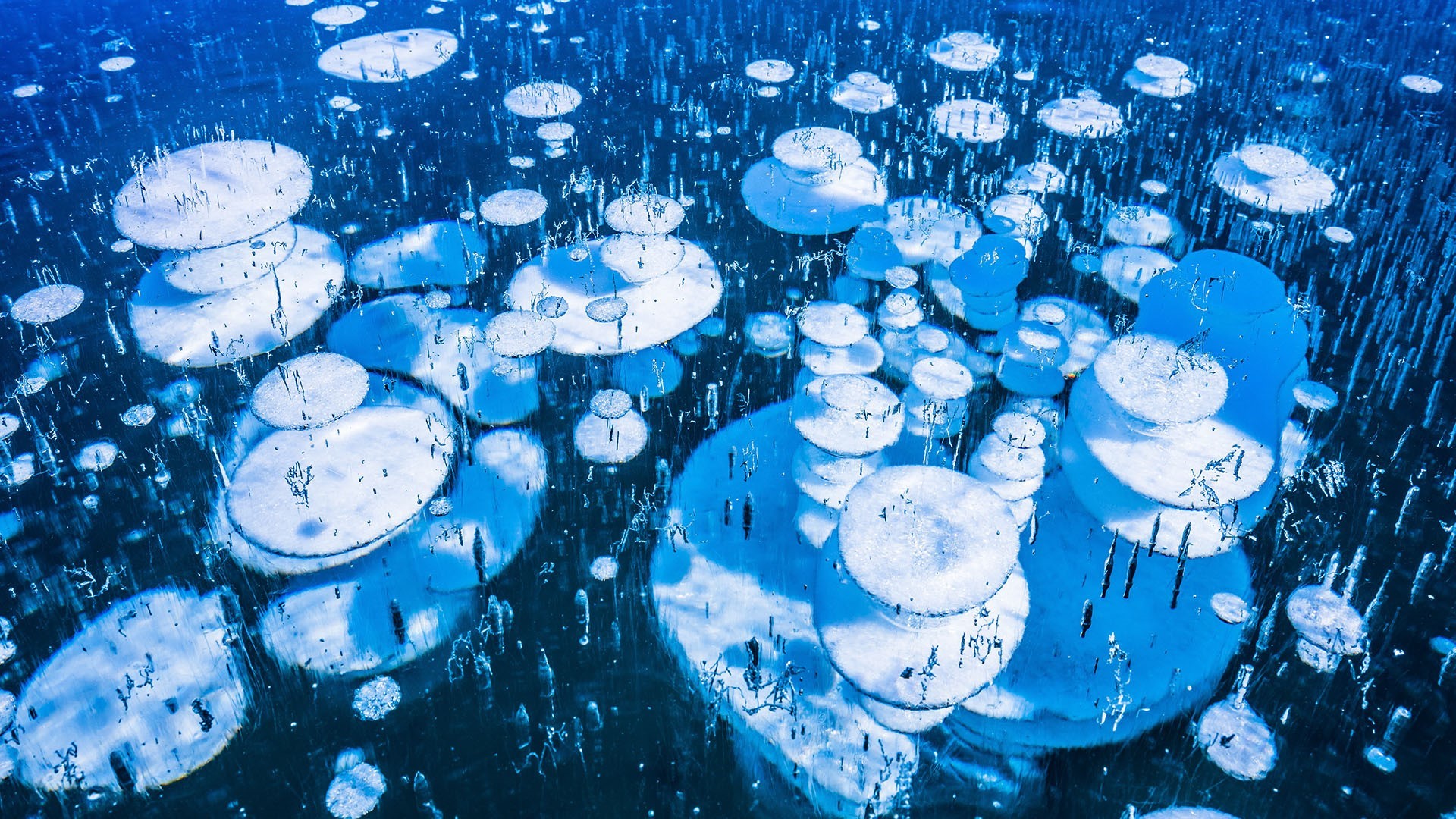 Frozen bubbles trapped in ice HD Wallpaper