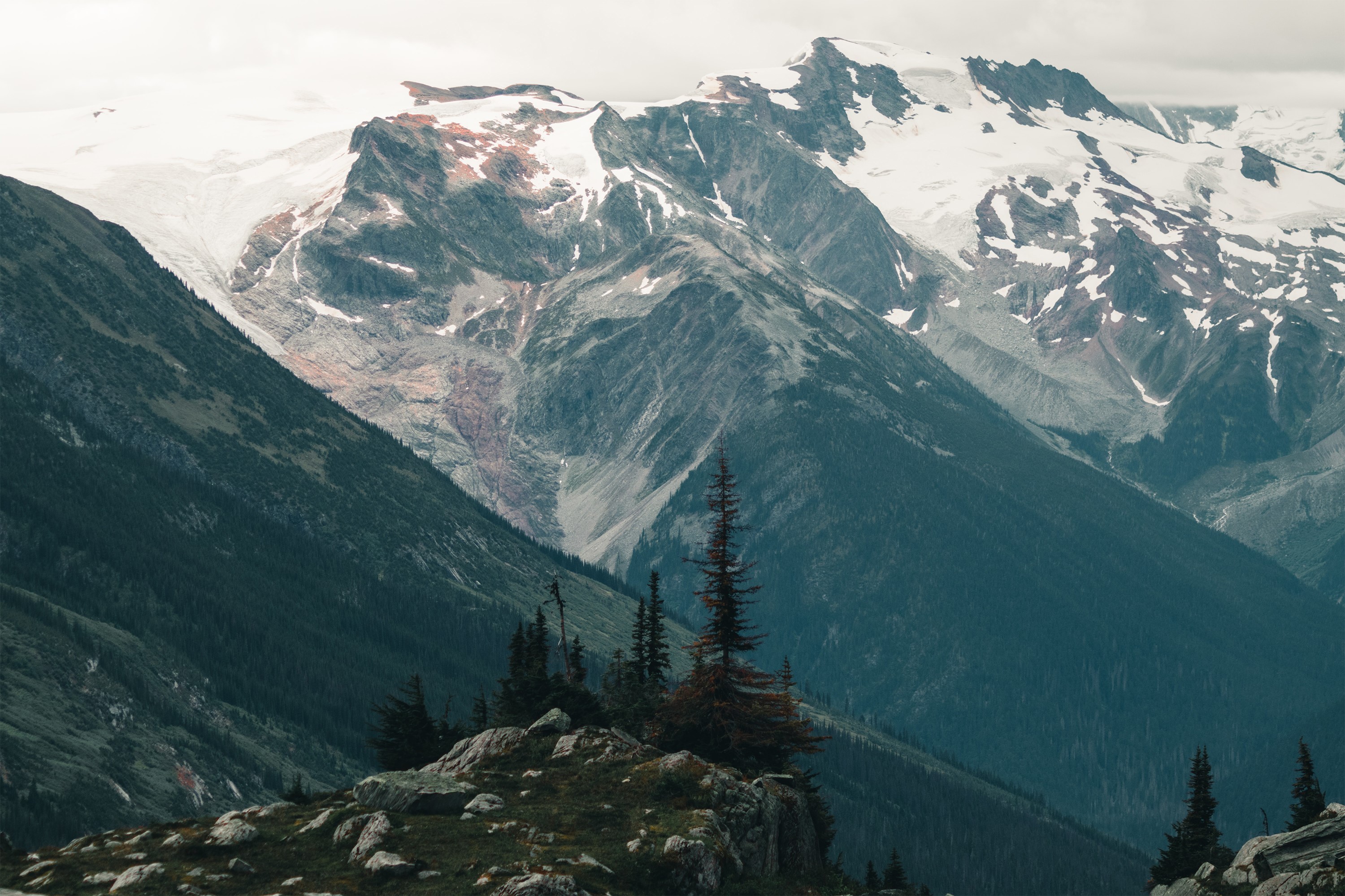 Snow-capped mountains and evergreen forest landscape HD Wallpaper