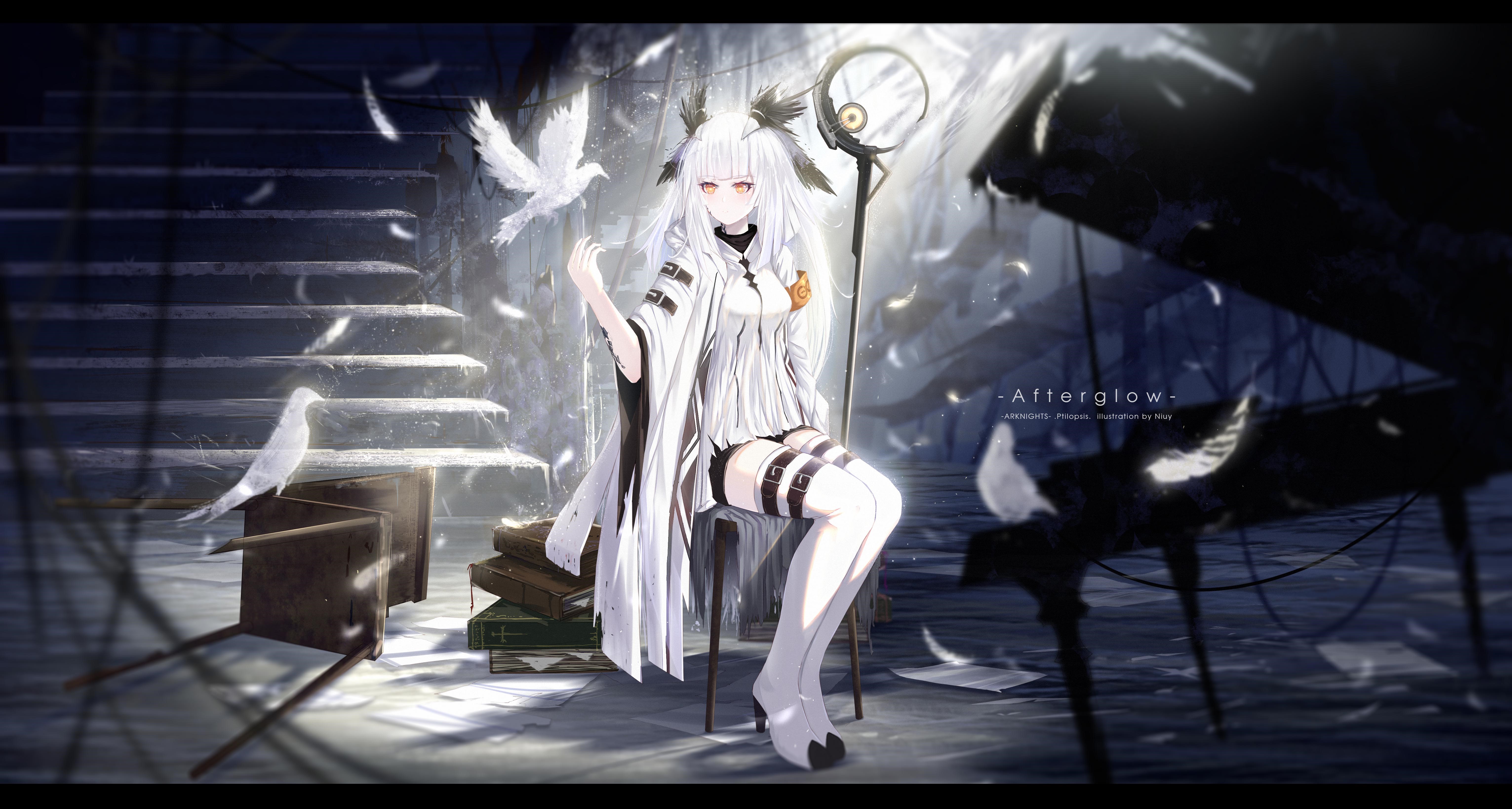 4K Ptilopsis from Arknights HD Wallpaper
