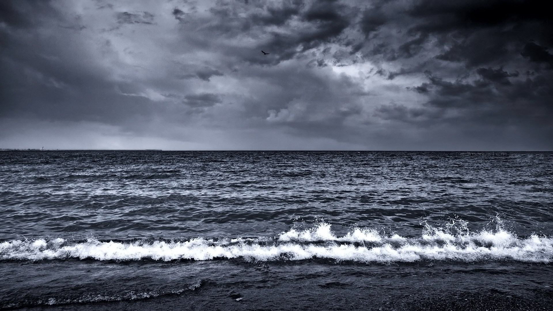 Stormy sea with waves and a bird HD Wallpaper