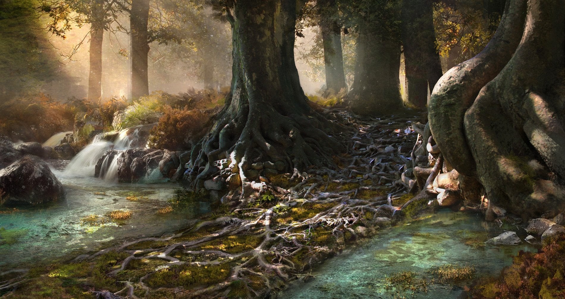 Sunlight filtering through trees onto a forest stream with exposed roots HD Wallpaper