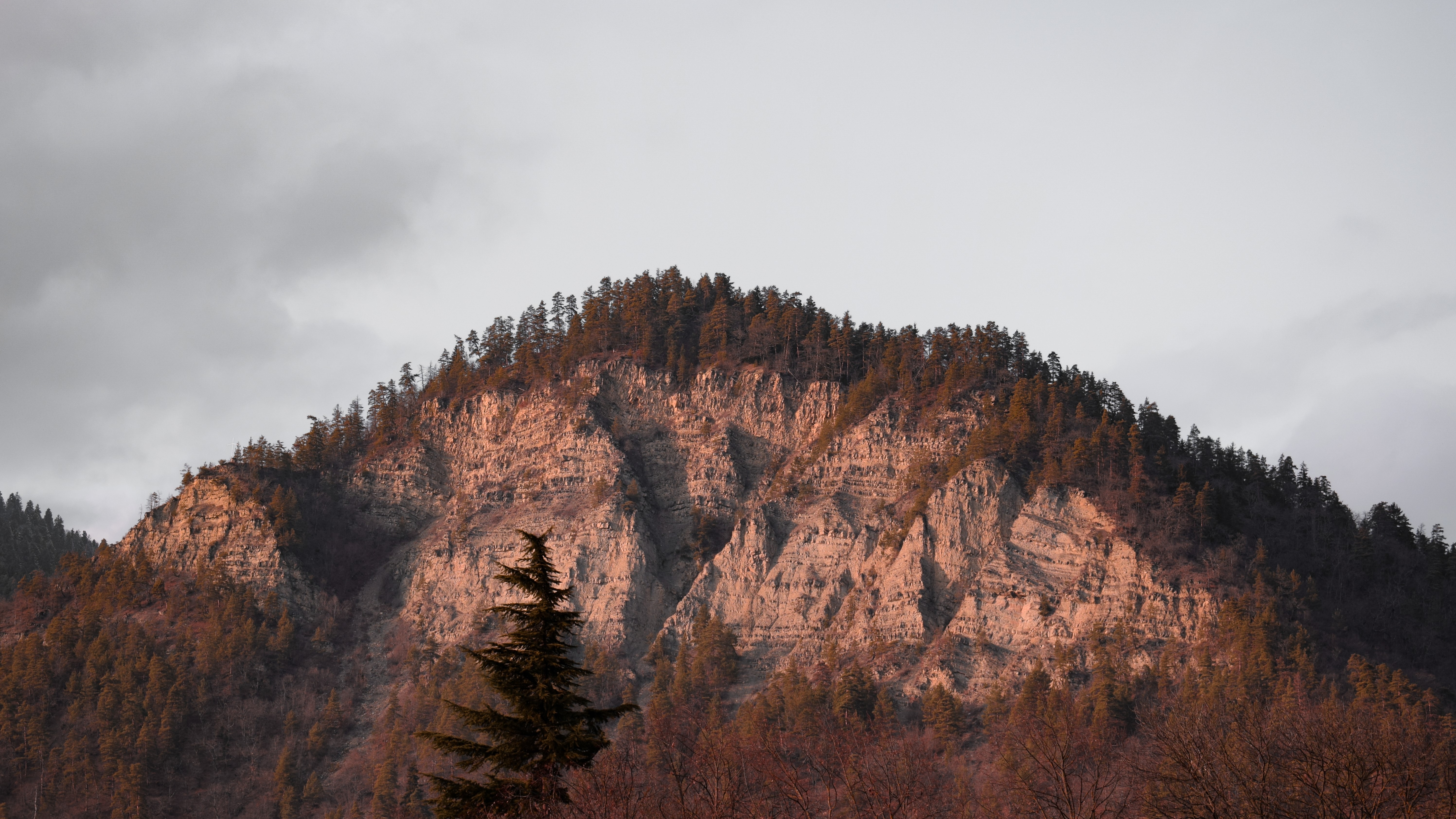 Mountain top with trees in Georgia HD Wallpaper