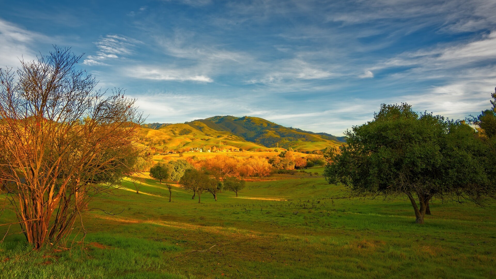 Rolling hills and trees under a cloudy sky HD Wallpaper