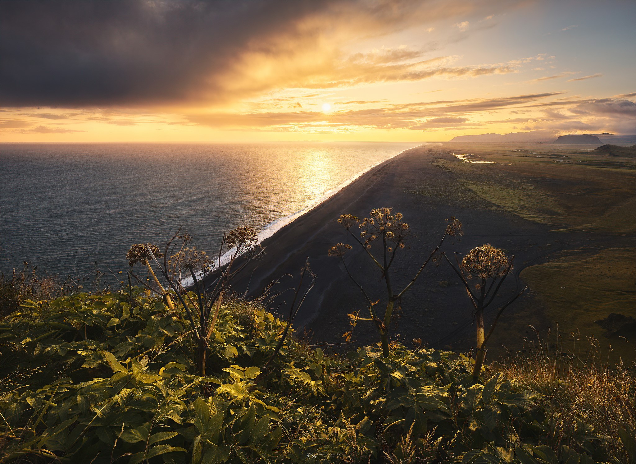 Sunset over black sand beach in Iceland with plants in foreground HD Wallpaper