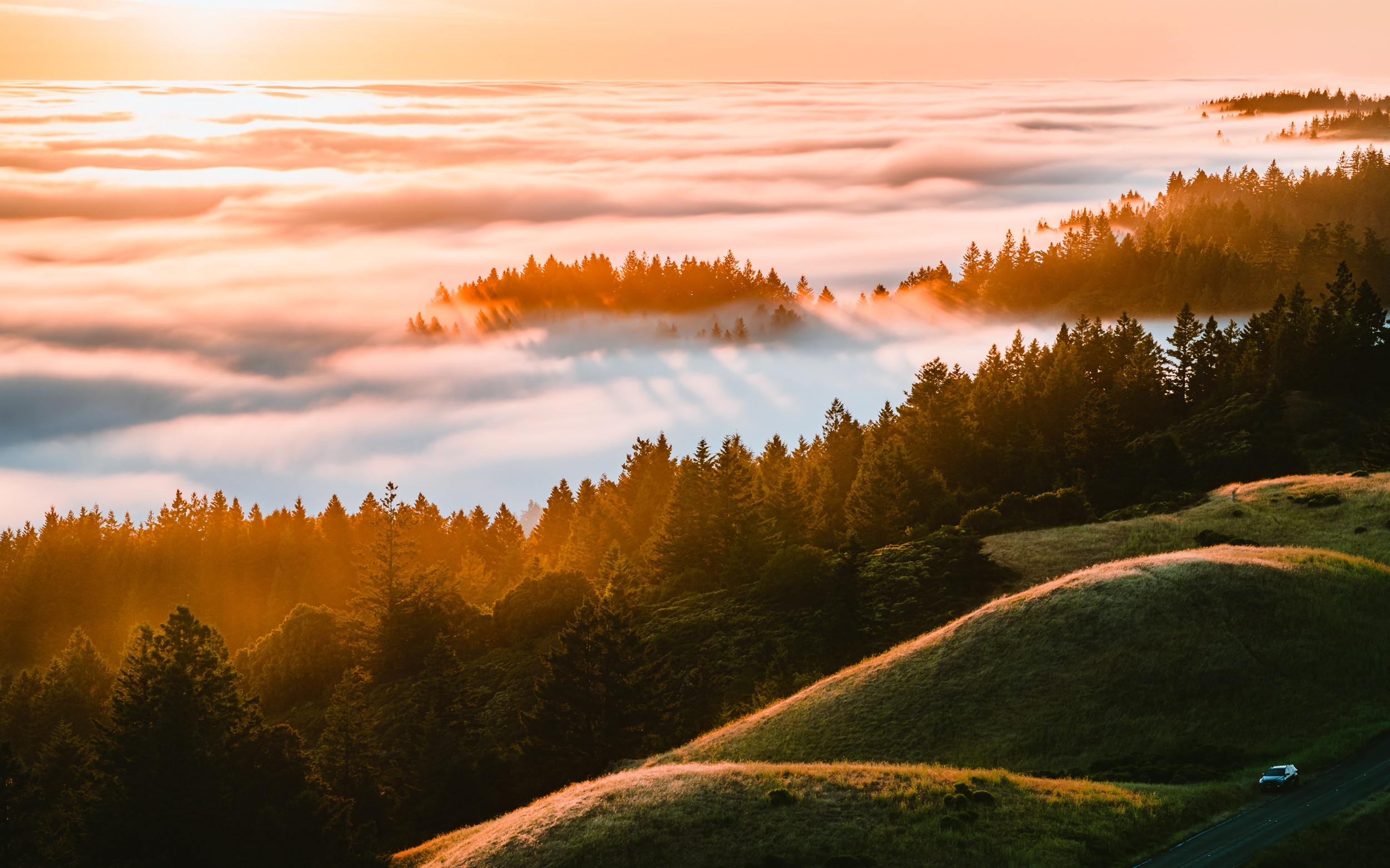 Sunset over foggy forest with a car on a road HD Wallpaper