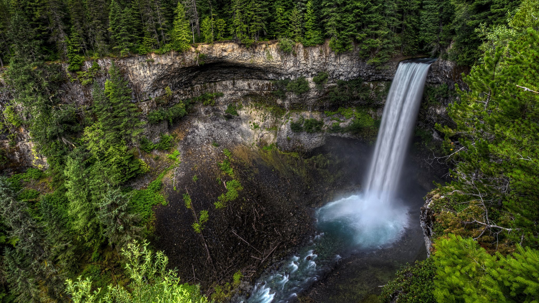 Waterfall cascading into a pool surrounded by forest HD Wallpaper