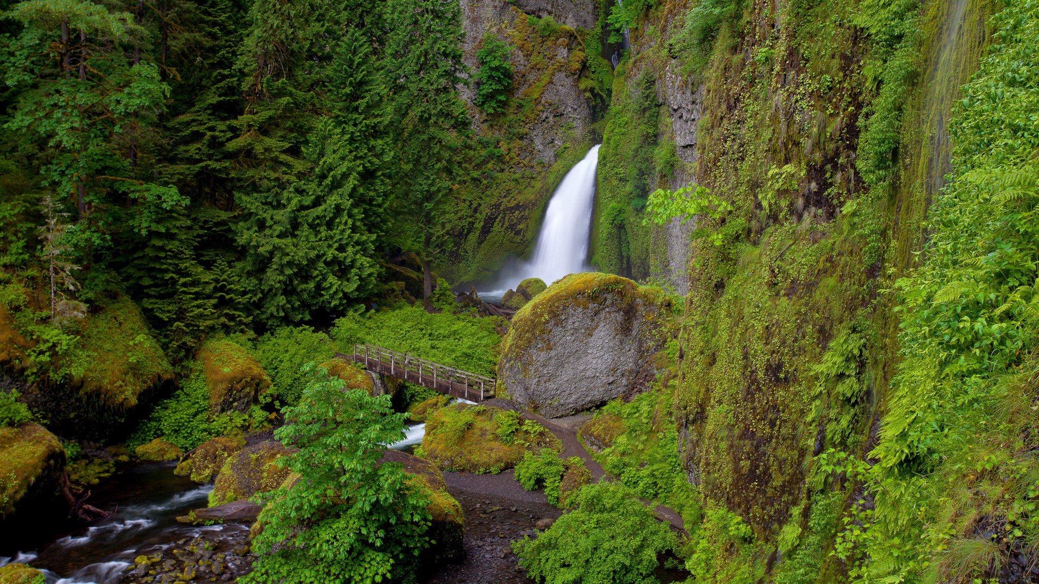Waterfall cascading down a moss-covered cliff into a forest stream HD Wallpaper