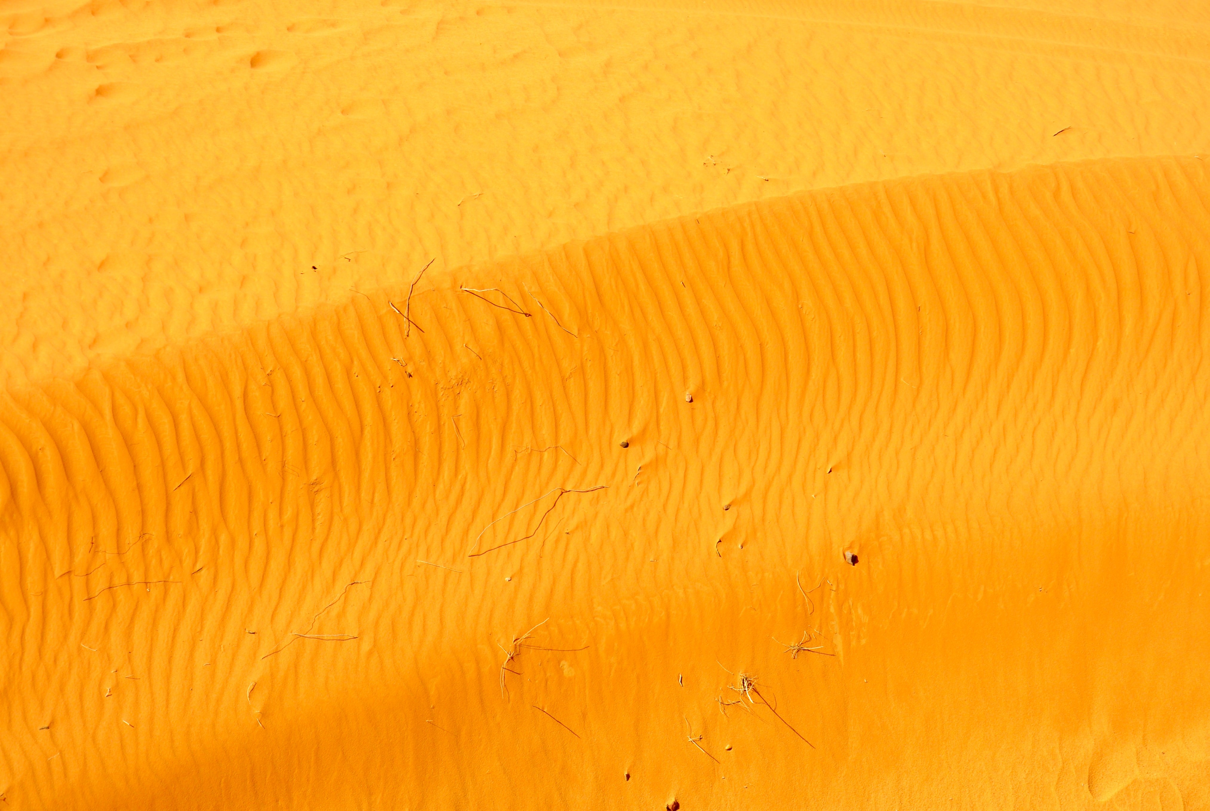 Desert sand dunes with ripples HD Wallpaper