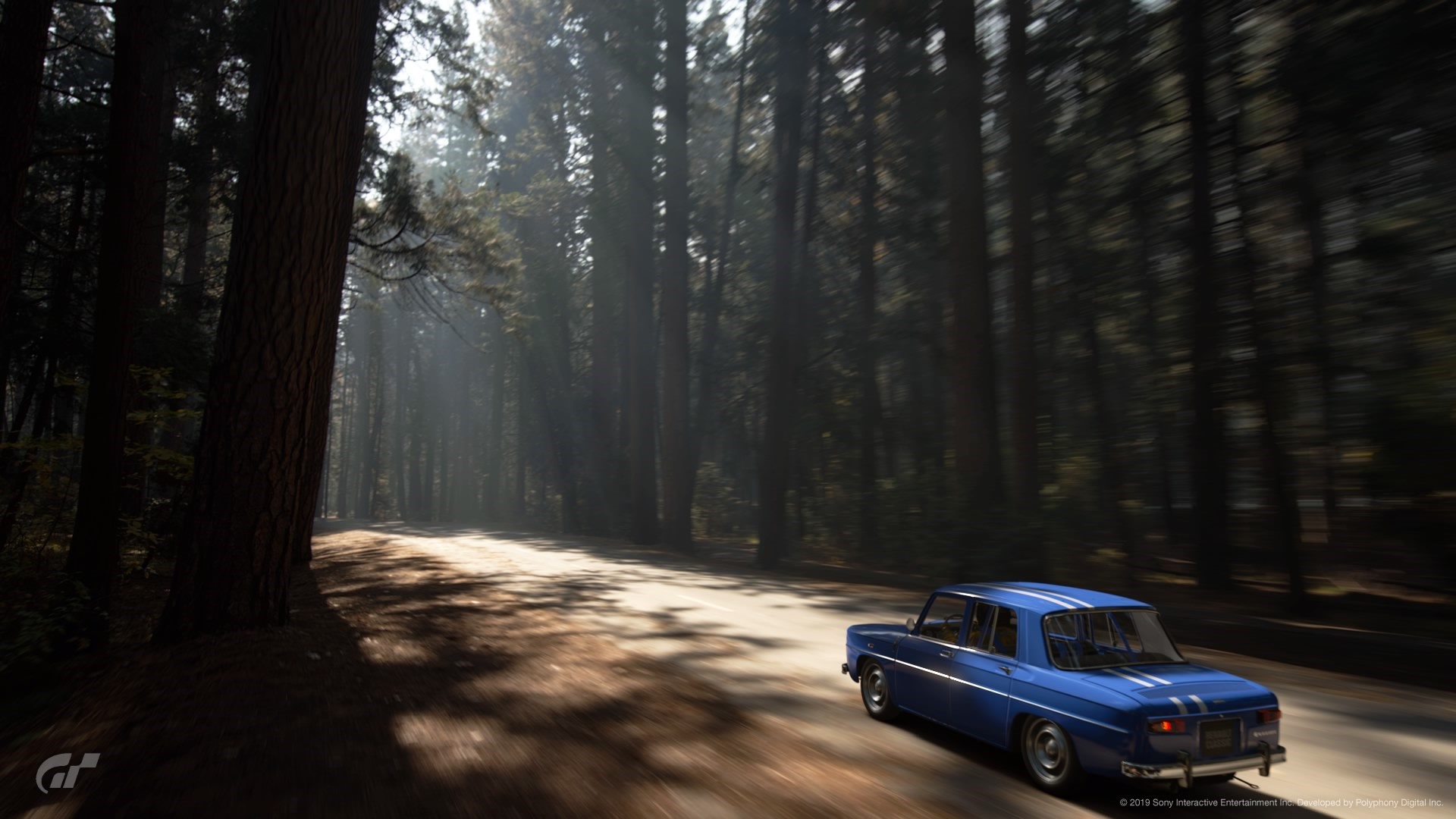 Blue car driving on a road through a forest HD Wallpaper