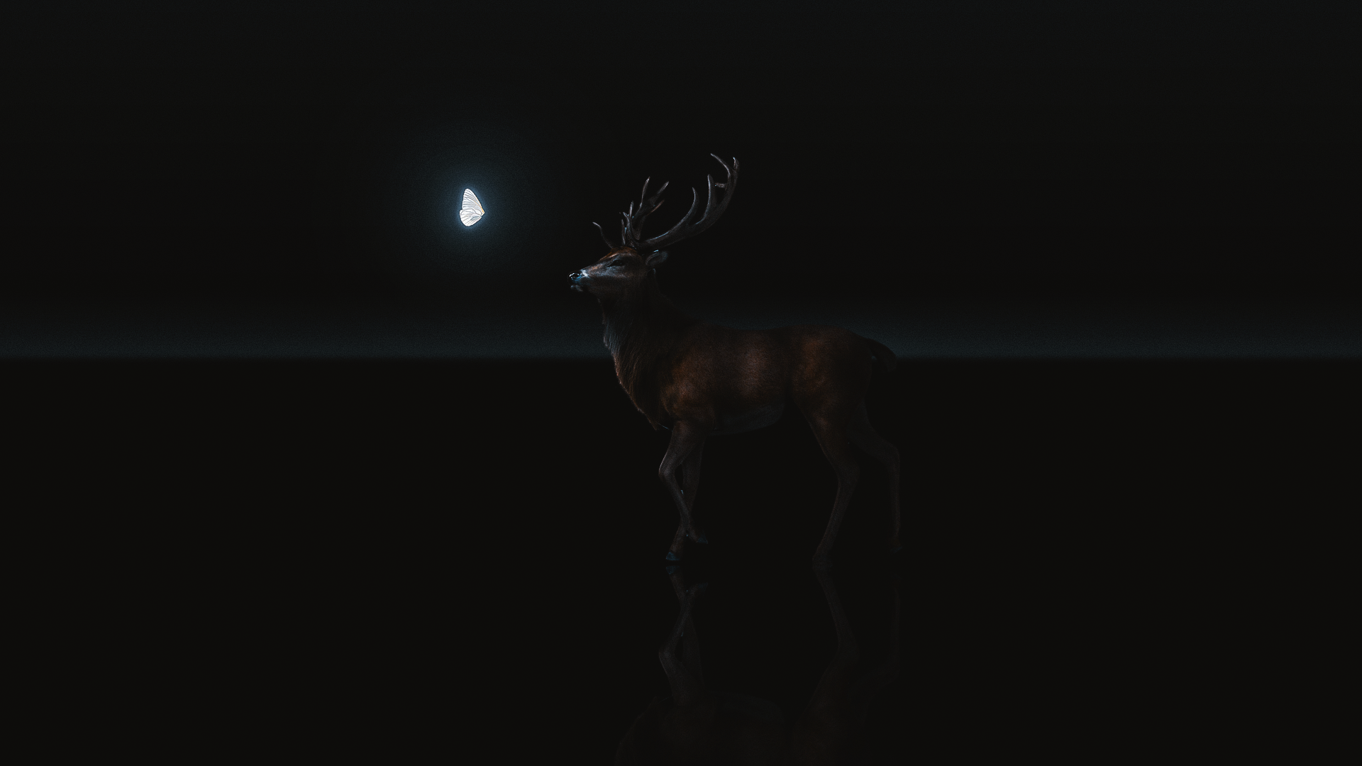 Deer and butterfly in the dark HD Wallpaper