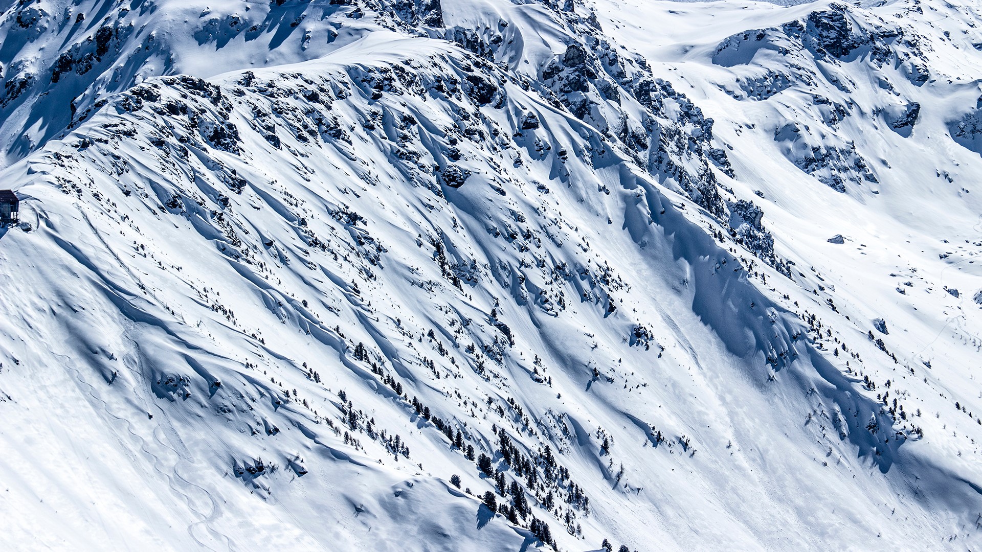 Snowy mountain range with scattered trees and ski tracks HD Wallpaper