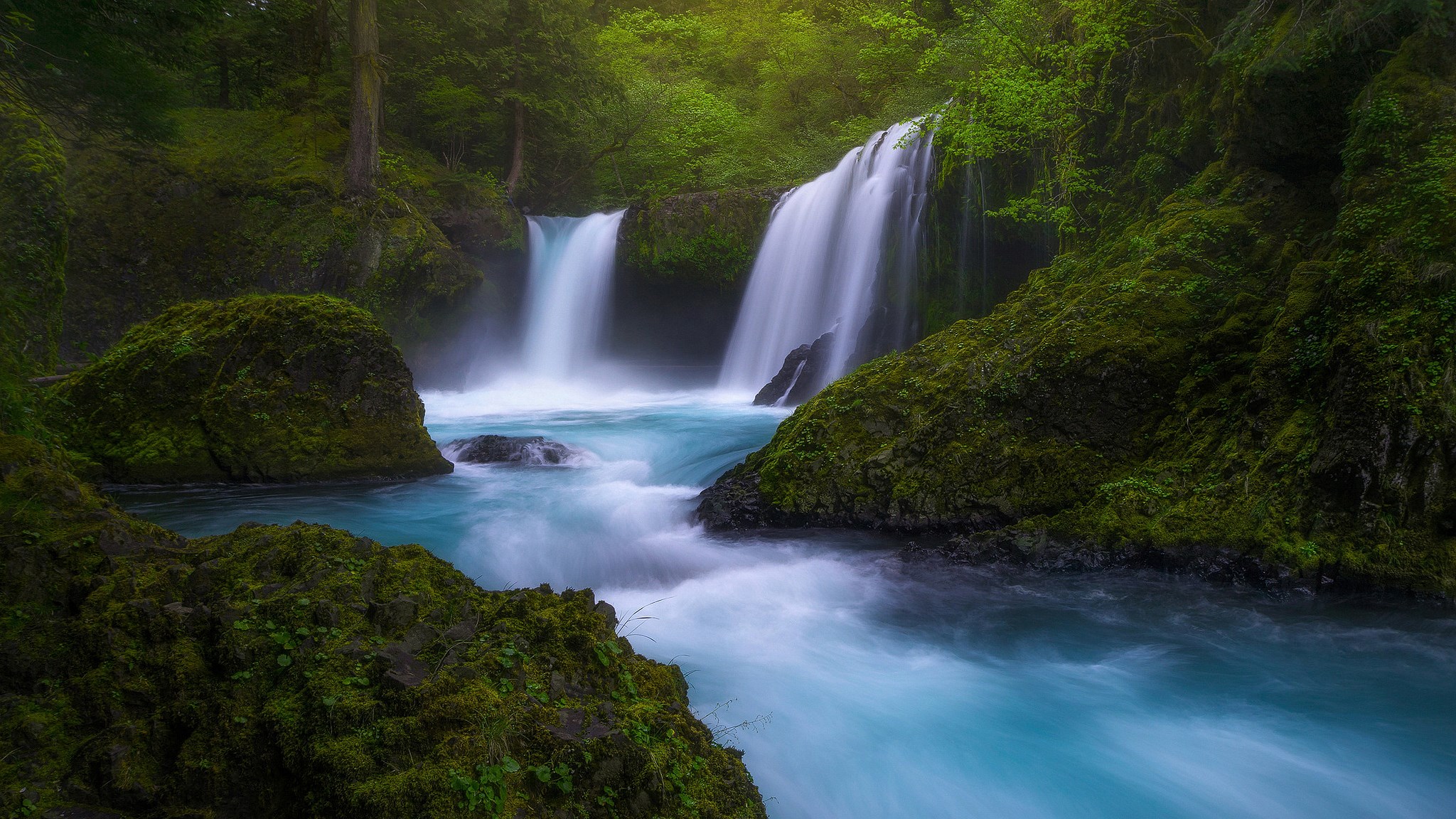 Two waterfalls cascade into a turquoise river in a mossy forest. HD Wallpaper