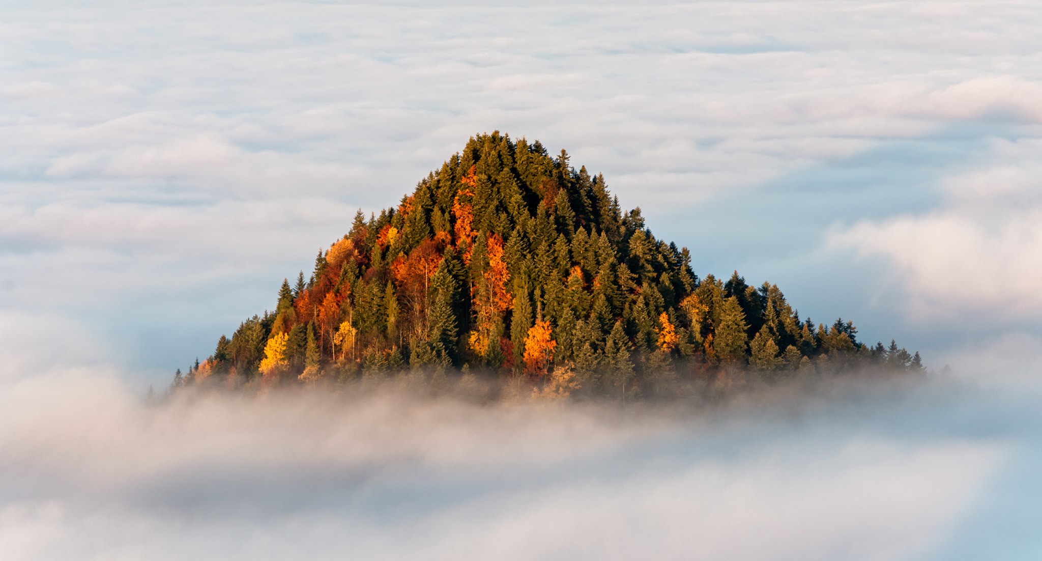 Mountain peak covered in trees above clouds HD Wallpaper