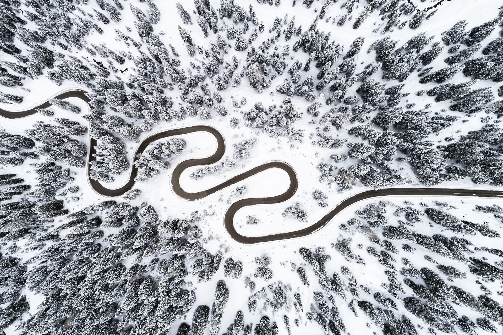 Winding road through a snow-covered forest from above HD Wallpaper