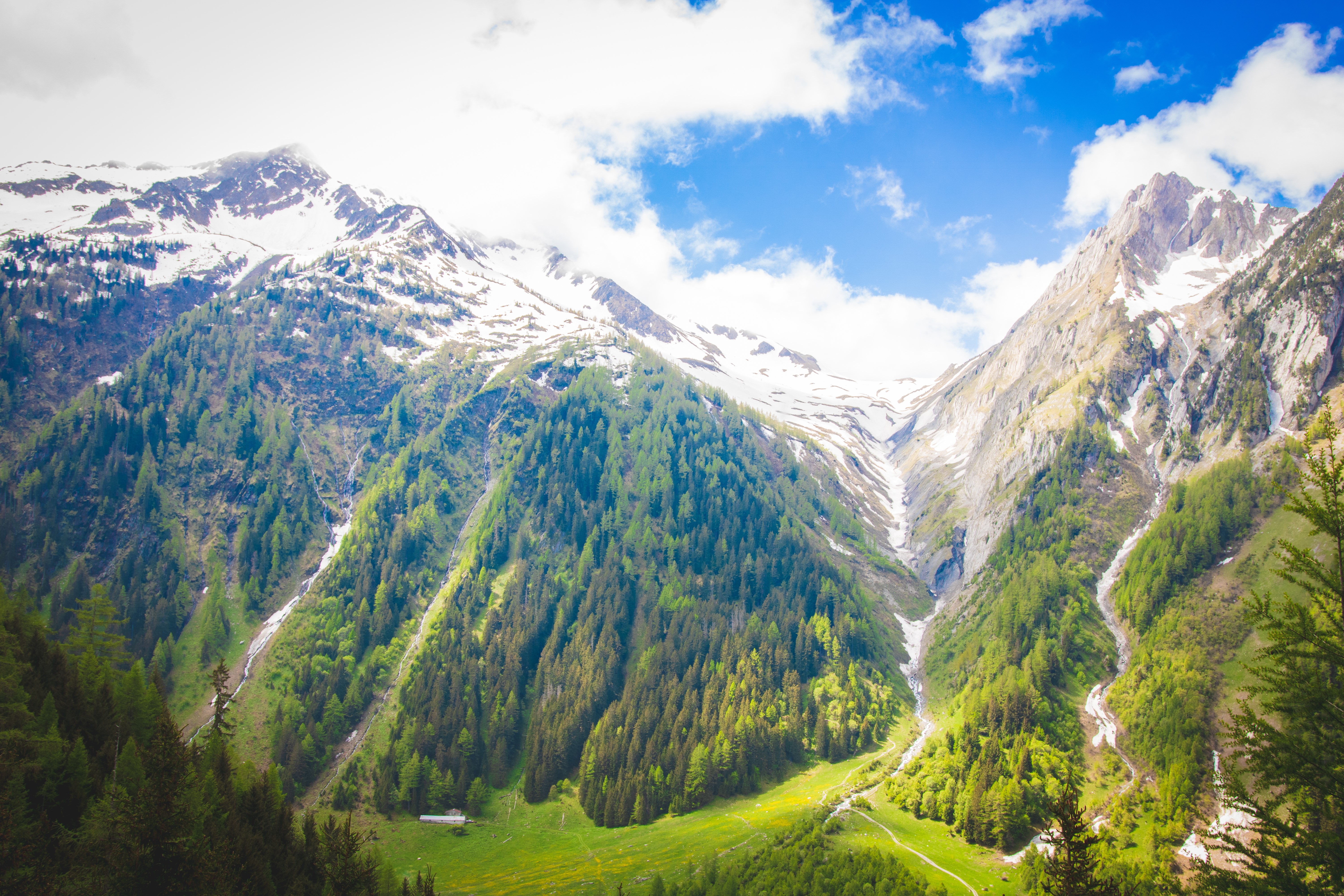 4K Switzerland Mountains with Trees HD Wallpaper