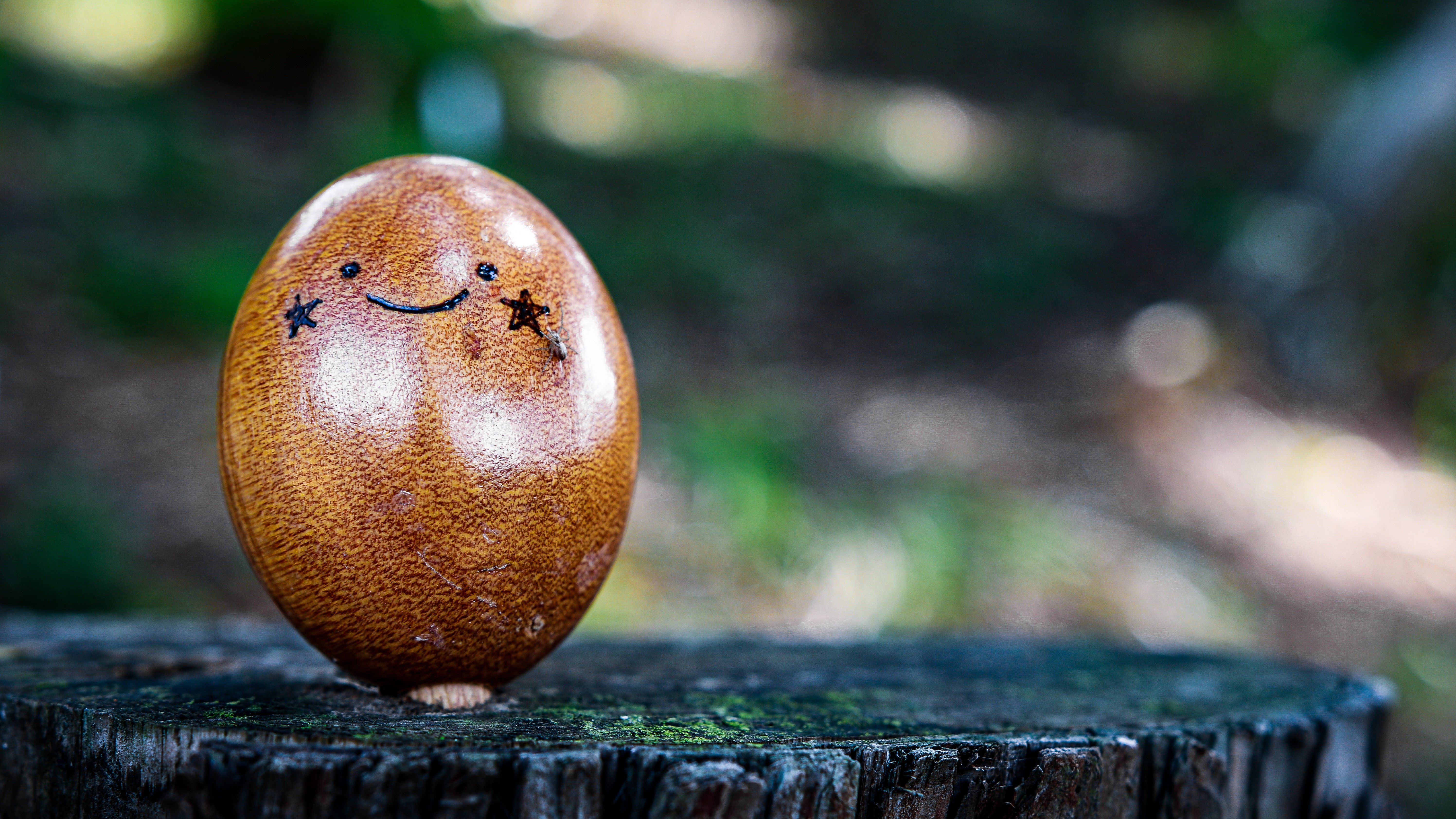 4K Macro of a decorated egg in a forest HD Wallpaper