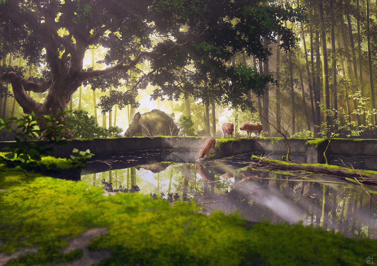 Boars in a forest clearing with a pond HD Wallpaper