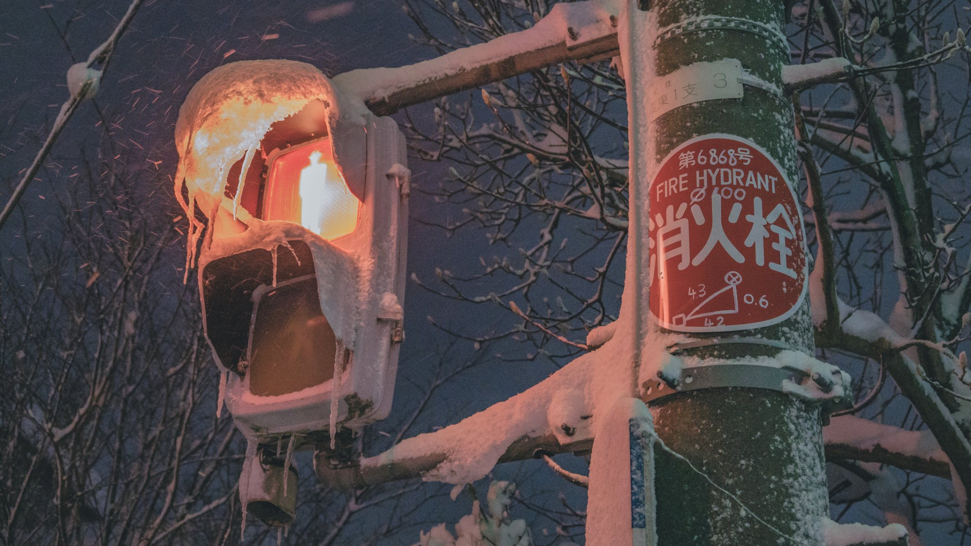 Traffic light covered in snow and ice at night HD Wallpaper