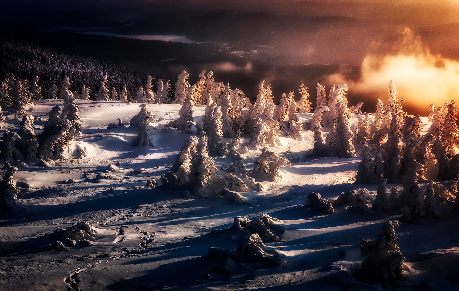 Snow-covered trees on a mountain landscape at sunset HD Wallpaper