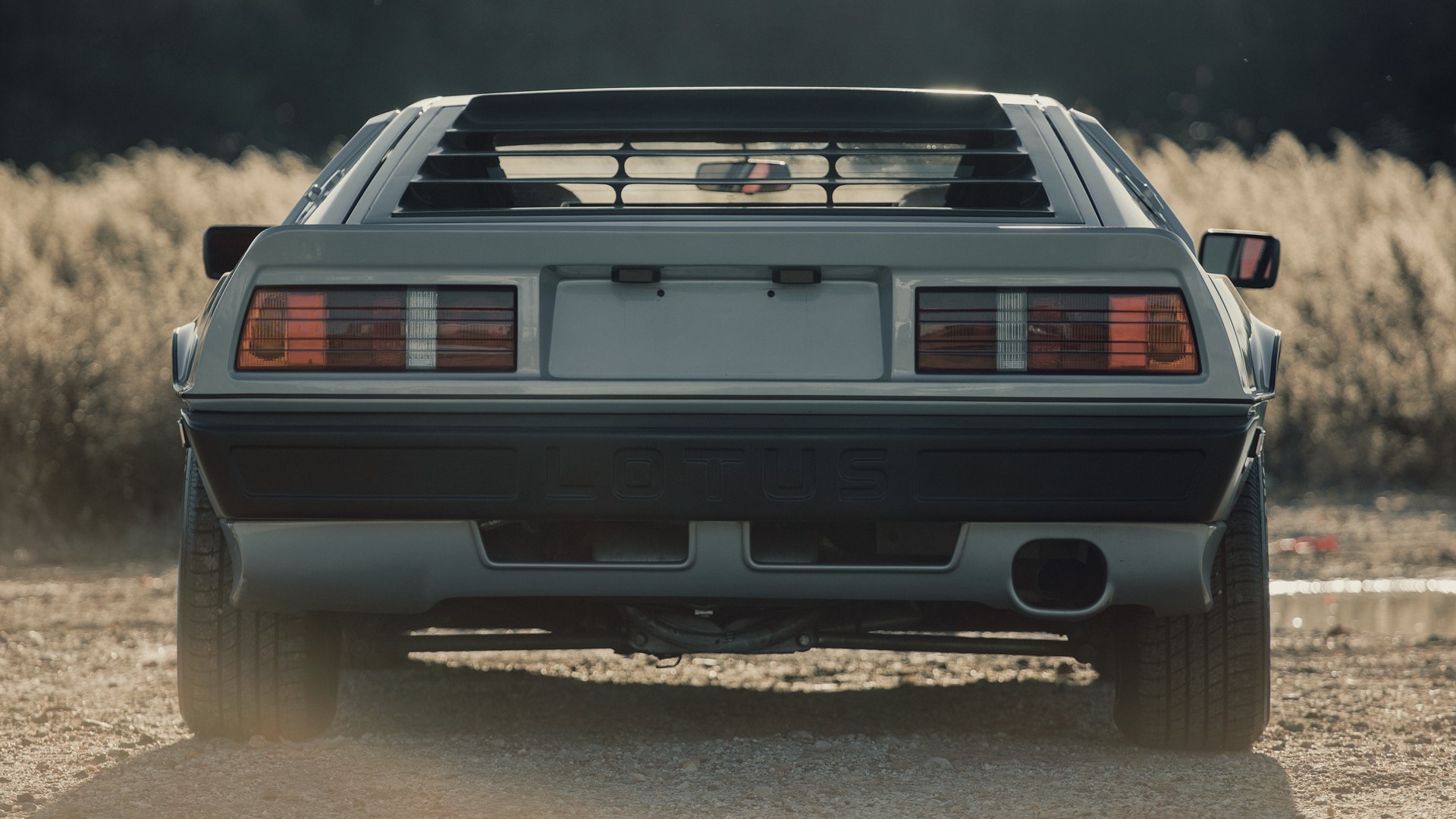 Rear view of a Lotus Esprit Turbo car HD Wallpaper