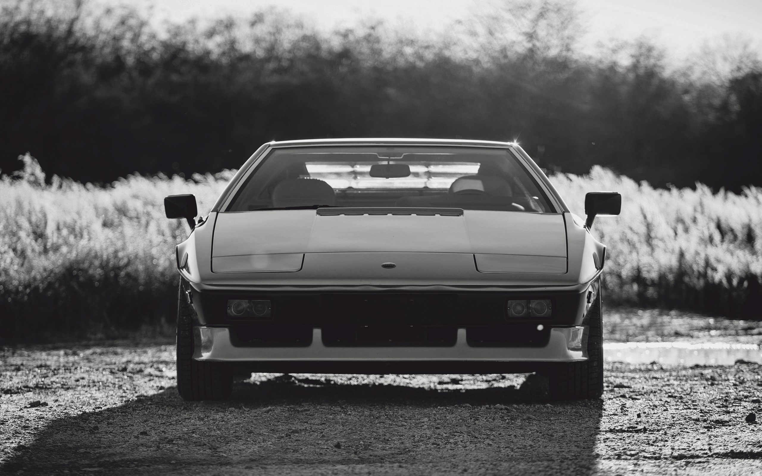 Lotus Esprit Turbo sports car in monochrome HD Wallpaper