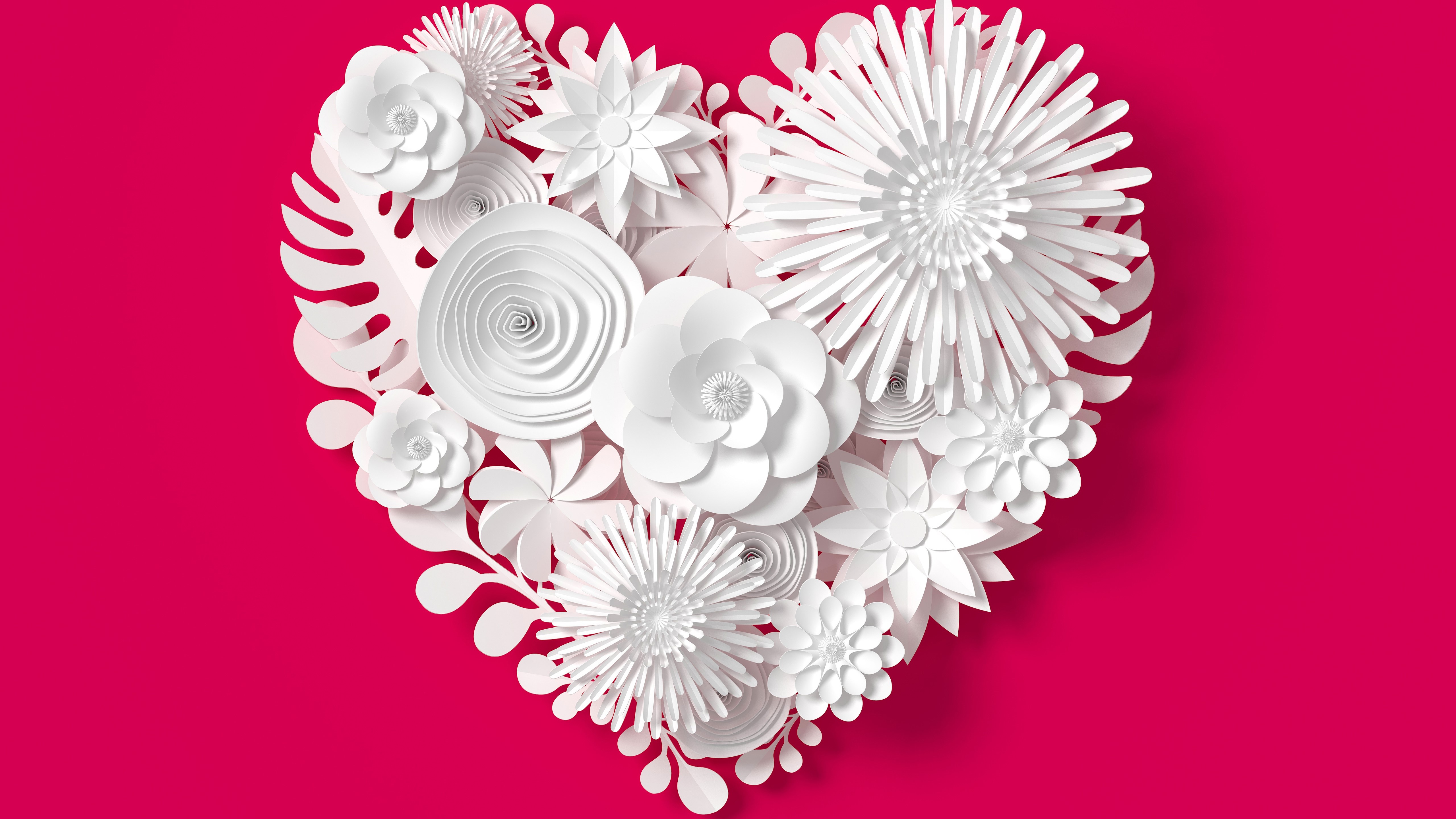 White paper flowers arranged in a heart shape on a pink background HD Wallpaper