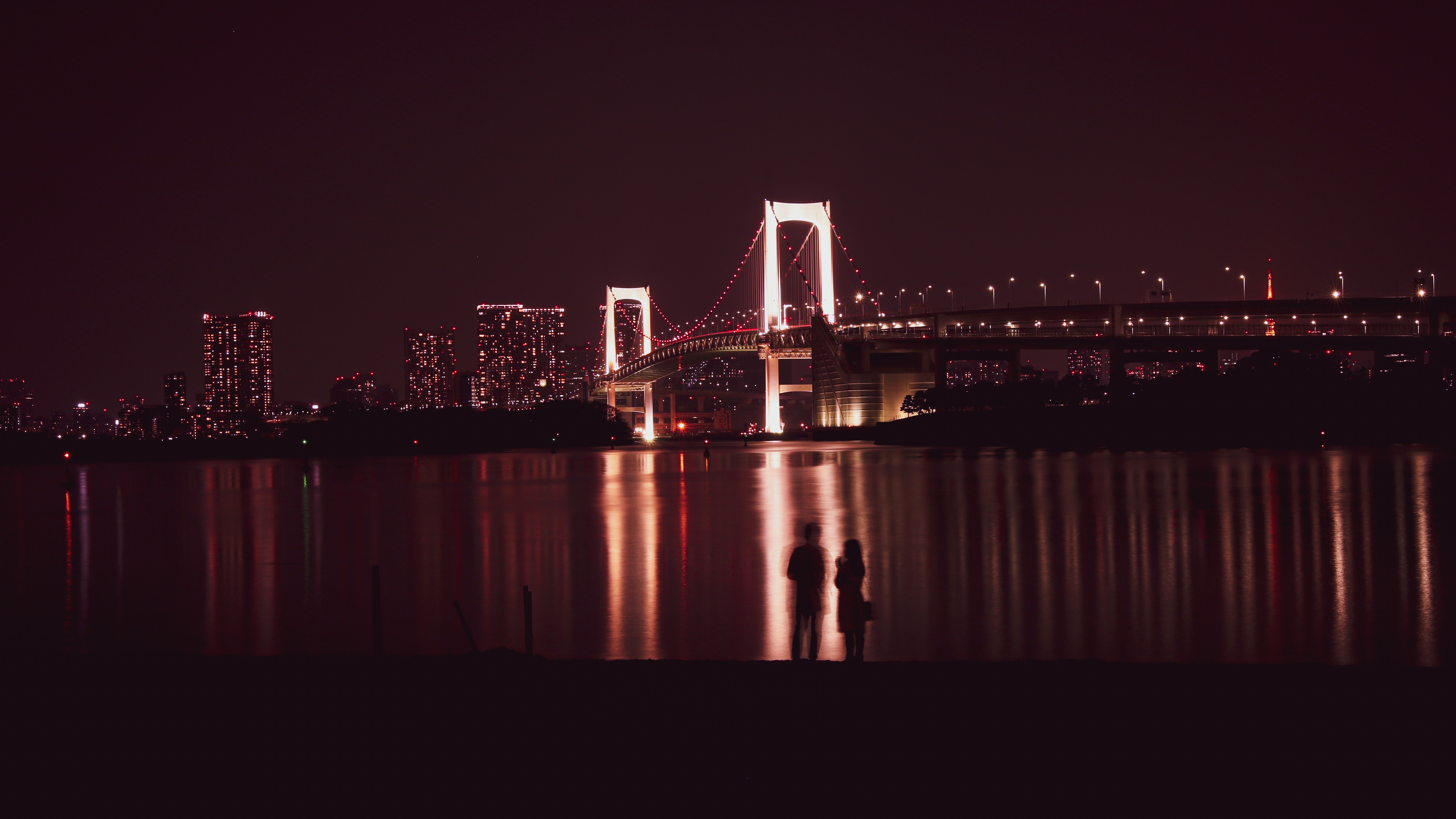 Night view of Rainbow Bridge and Tokyo skyline HD Wallpaper