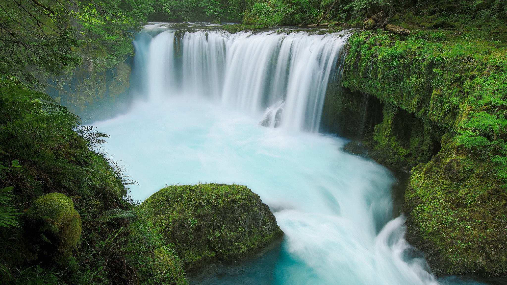 Waterfall cascading into turquoise water surrounded by mossy rocks and ferns HD Wallpaper